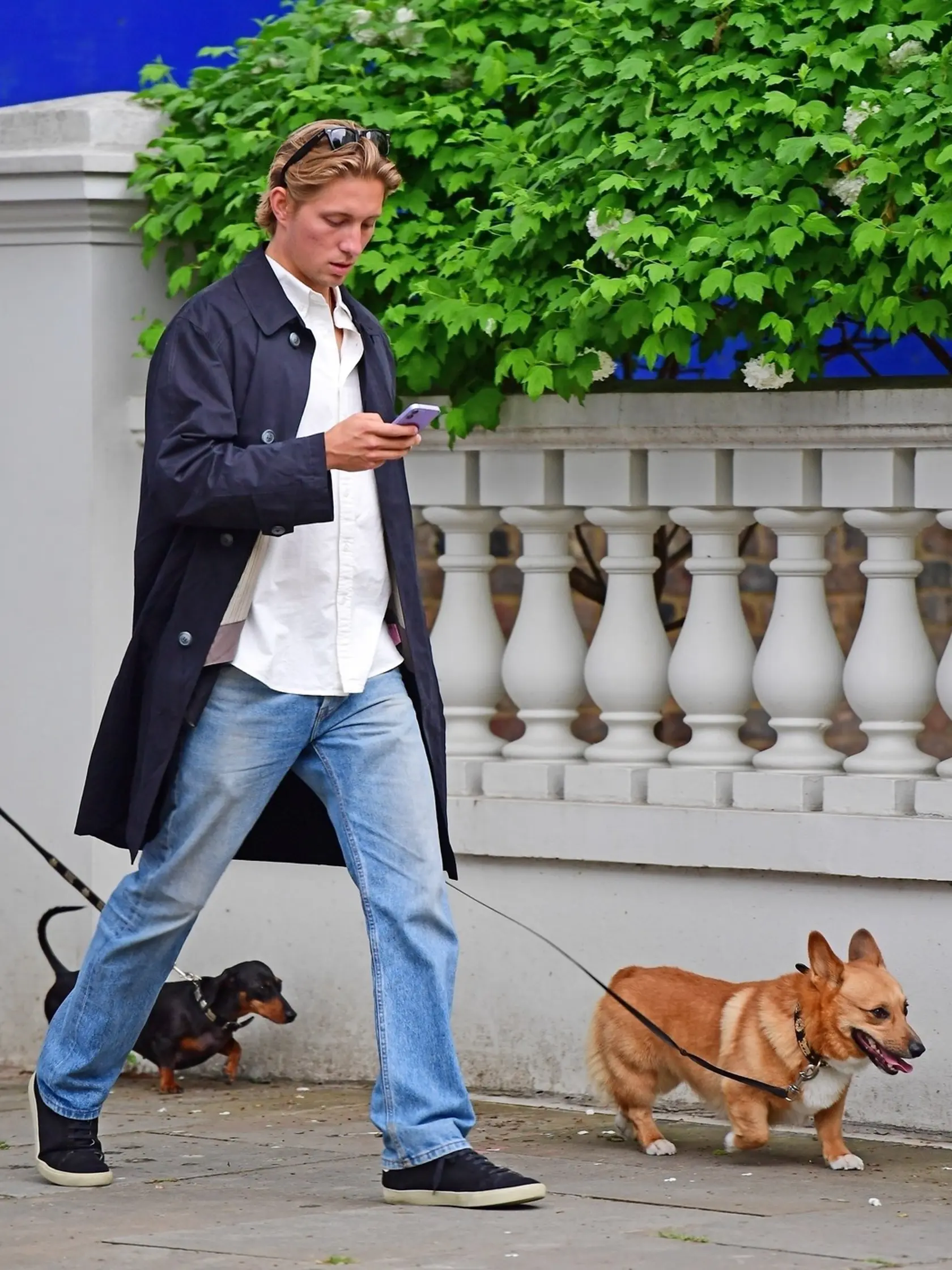 *EXCLUSIVE* Prince Constantine Alexios and Princess Maria Olympia of Greece take their dogs, a Corgi and a miniature Dachshund on a stroll in London