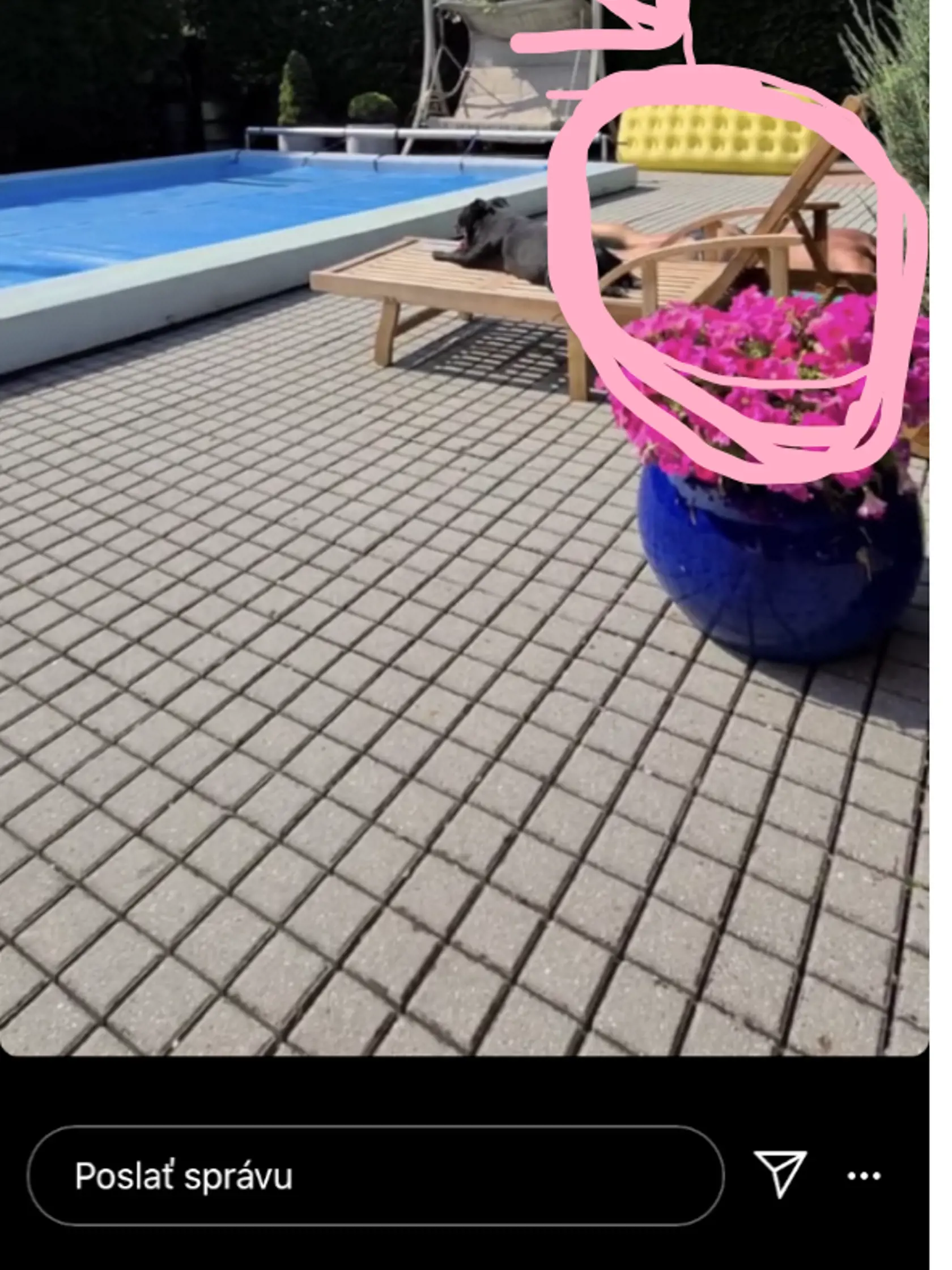 Zora Czoborová ukázala viac než plánovala.