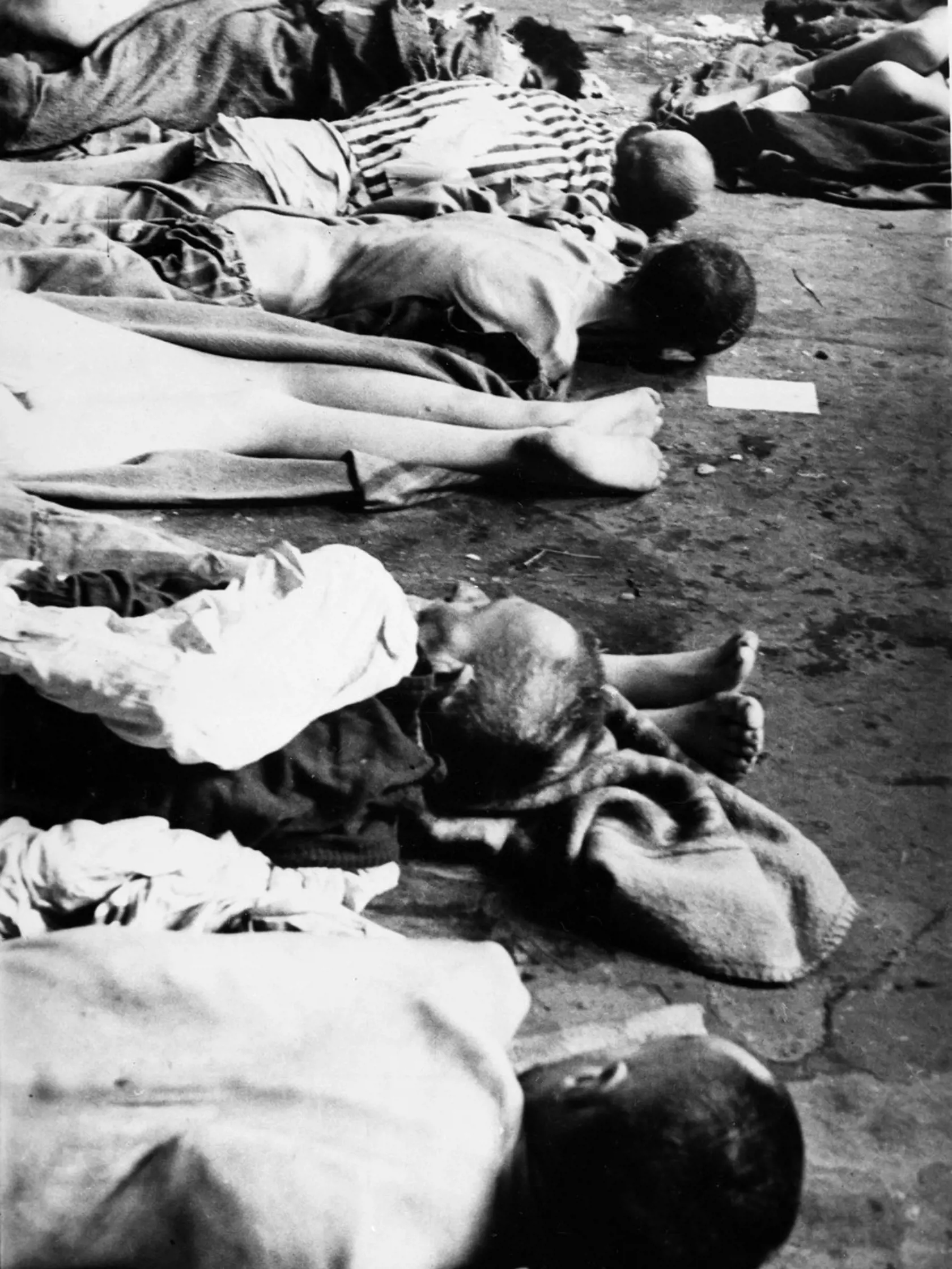 Tábor oslobodil oddiel Červenej armády 27. januára 1945. Ohromení a šokovaní vojaci vstúpili do priestorov vyhladzovacieho tábora a oslobodili zvyšných 7600 zúbožených väzňov. Počet ľudí zabitých v Auschwitzi-Birkenau nie je možné presne určiť: podľa odhadov historikov ide o 1,2 – 1,6 milióna osôb. Väčšinu obetí tvorili ľudia židovského pôvodu.