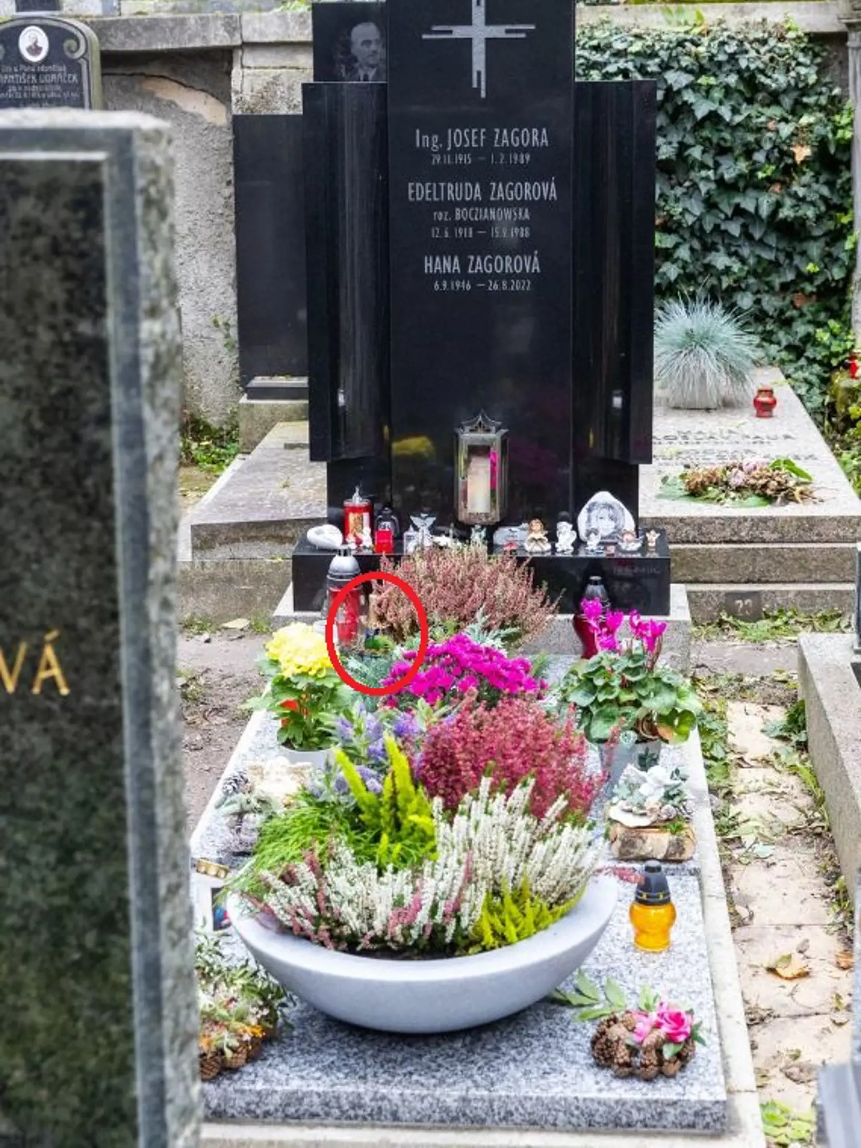 Na hrobe speváčky Hany Zagorovej je aj fľaša jej obľúbeného šampanského.