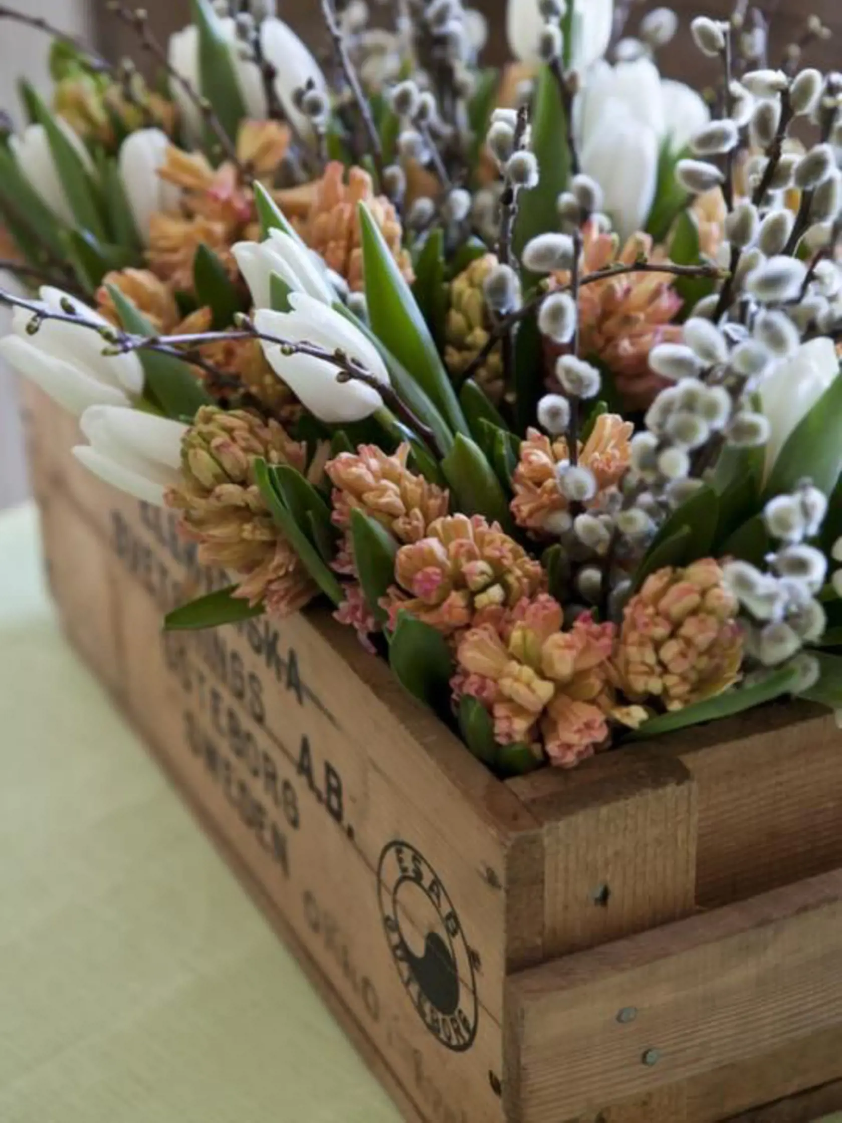 Bahniatka stačí napichať ako výplň do jarných výsadieb. Budú skvelá spoločnosť napríklad pre tulipány a hyacinty.