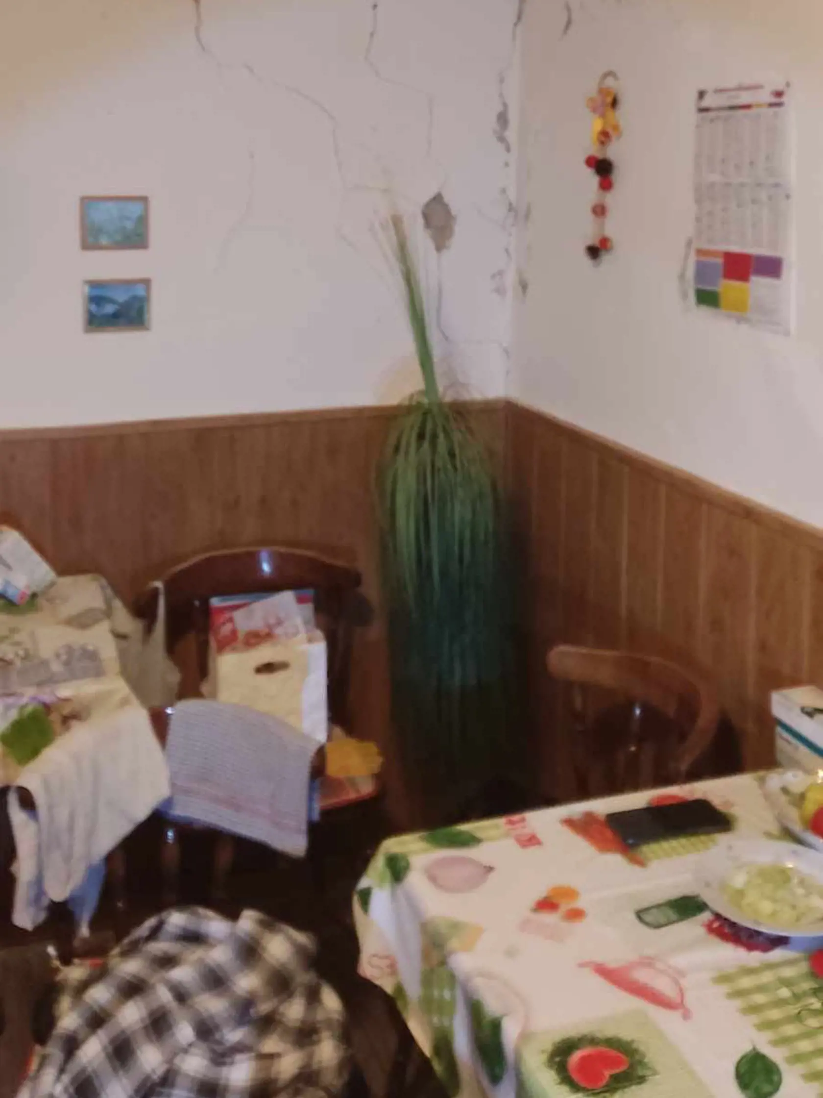 Takéto škody spôsobilo zemetrasenie na východnom Slovensku!