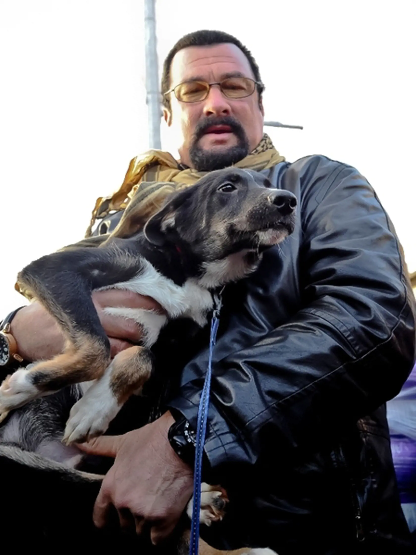 Steven Seagal si adoptoval psa.