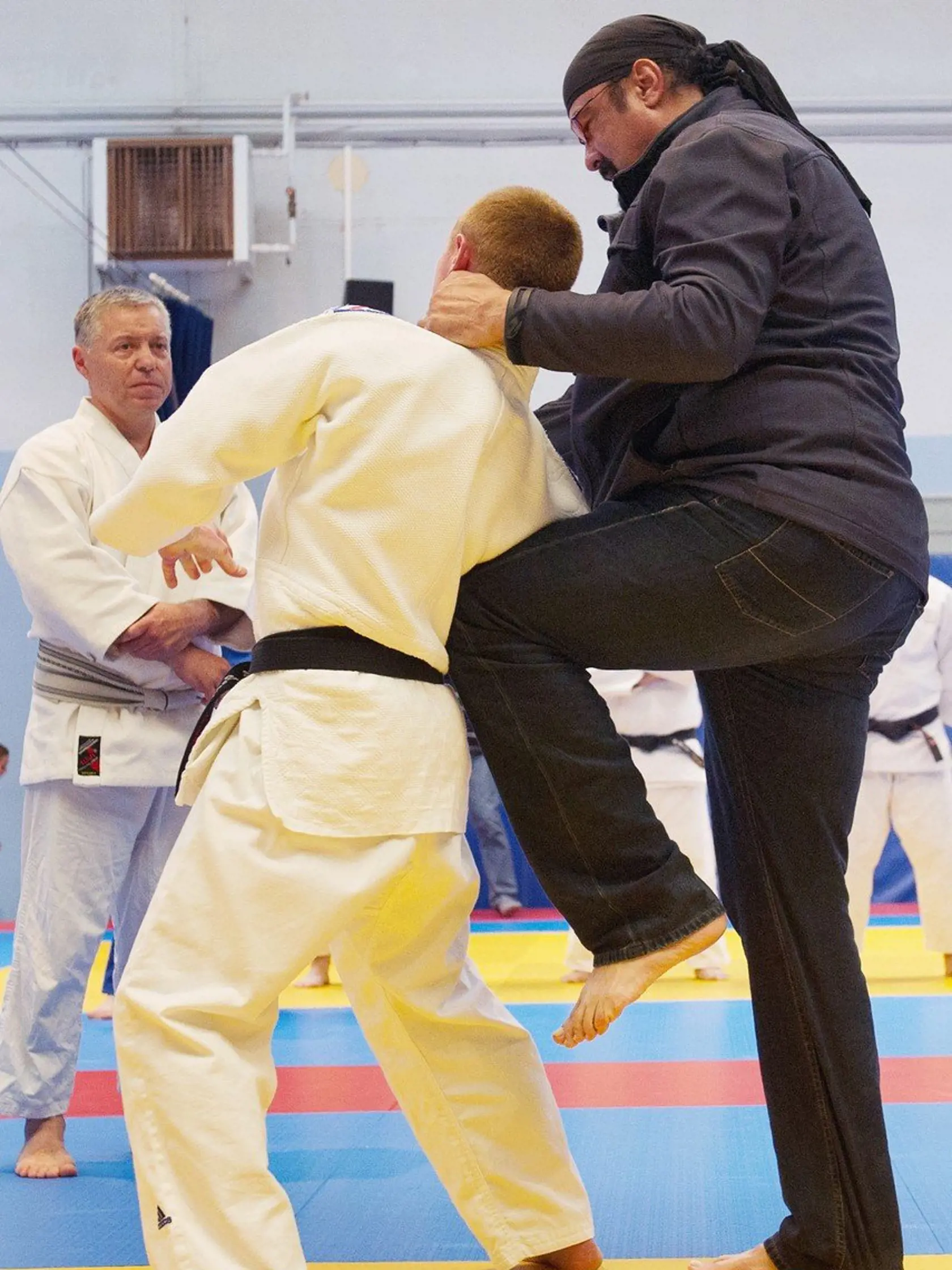 Seagal je majstrom v bojových umeniach.