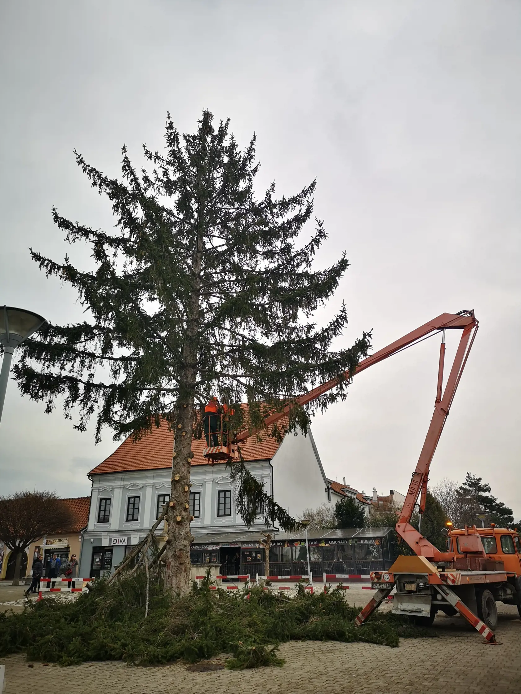 Vianočný strom rástol na Námestí v Novom Meste nad Váhom dlhé desaťročia.