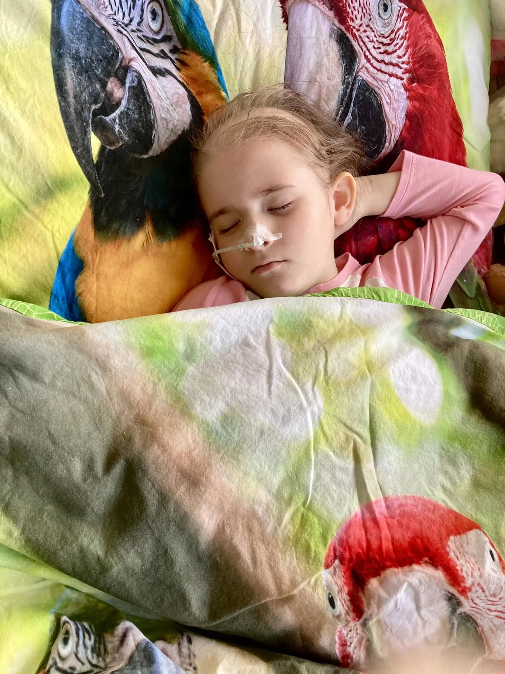 Zlomovým momentom bola pomoc darkyne z Nemecka, ktorá dievčatku poskytla kostnú dreň. „Výsledky boli chvíľu lepšie, chvíľu horšie, ale dnes sa Eliška drží a jej zdravotný stav sa postupne stabilizuje. Pravidelne chodíme na kontroly do Bratislavy a stále ju pozorujú, aby sa neobjavili komplikácie,“ vysvetľuje Lenka.