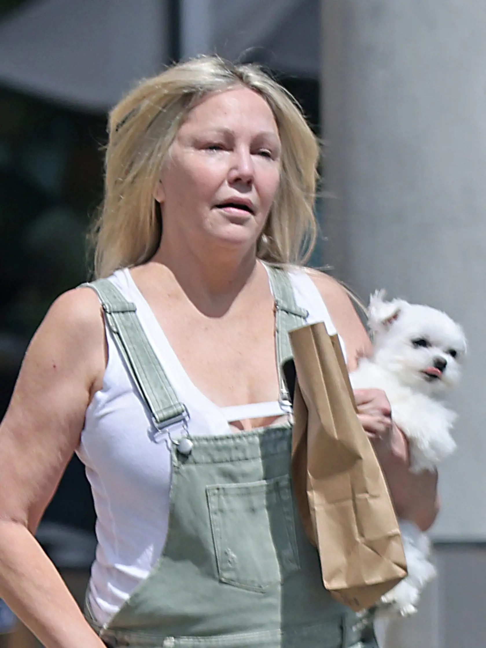 Heather Locklear nevyzerá dobre...