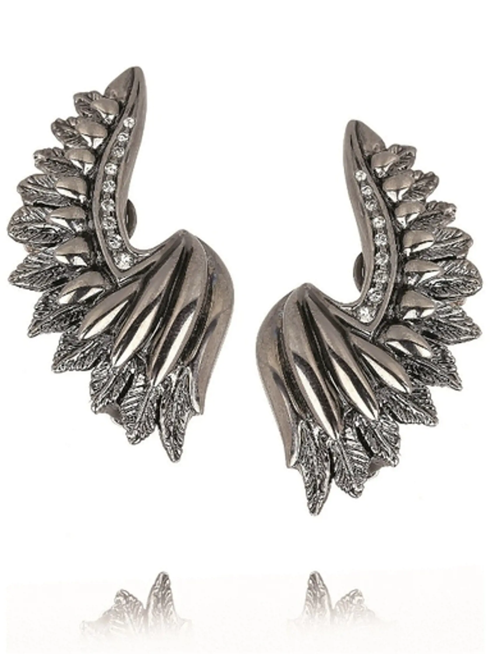 Strieborné krídla, Roberto Cavalli