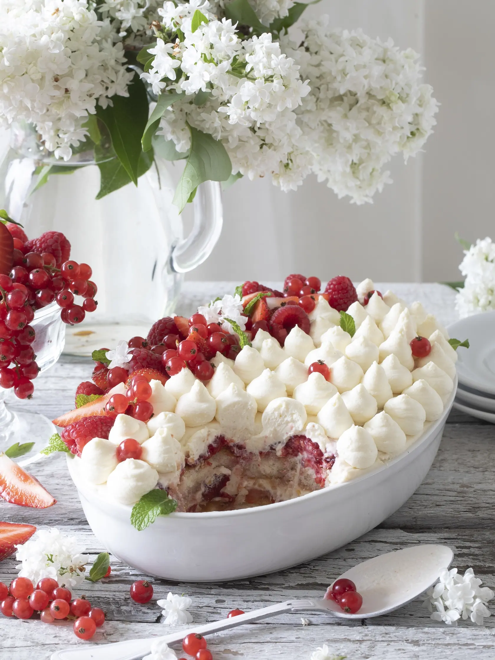 ovocné tiramisu