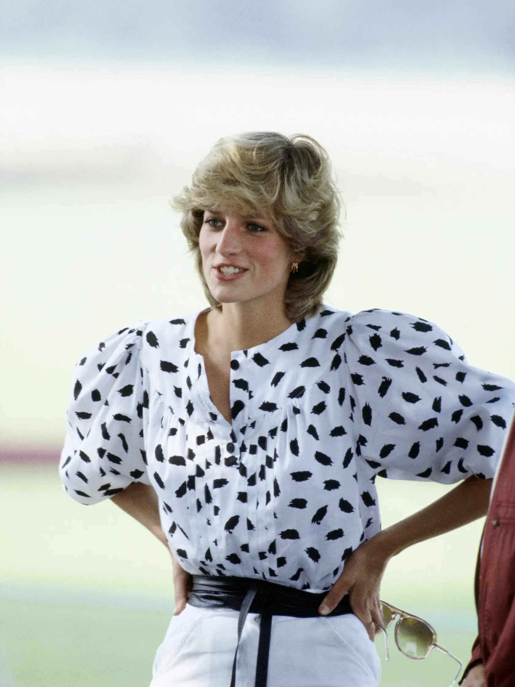 Lady Diana, princezná z Walesu.