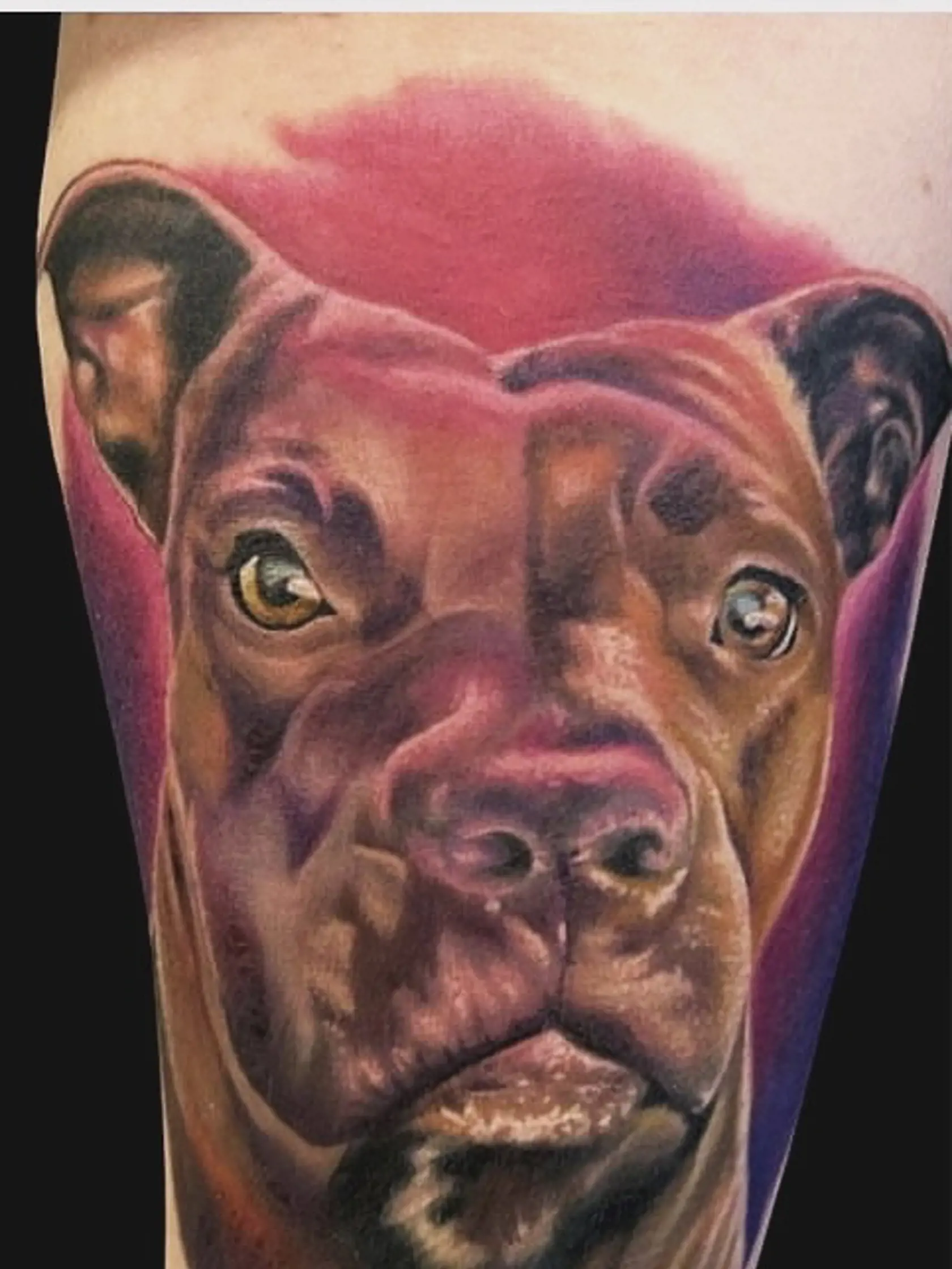 Medzi najviac vyhľadávané štýly patrí realistika, portréty, dotwork, blackwork, old school, new school, či neo-traditional, ale v poslednej dobe sú stále viac a viac v móde minimalistické tetovania, ako napríklad single line.