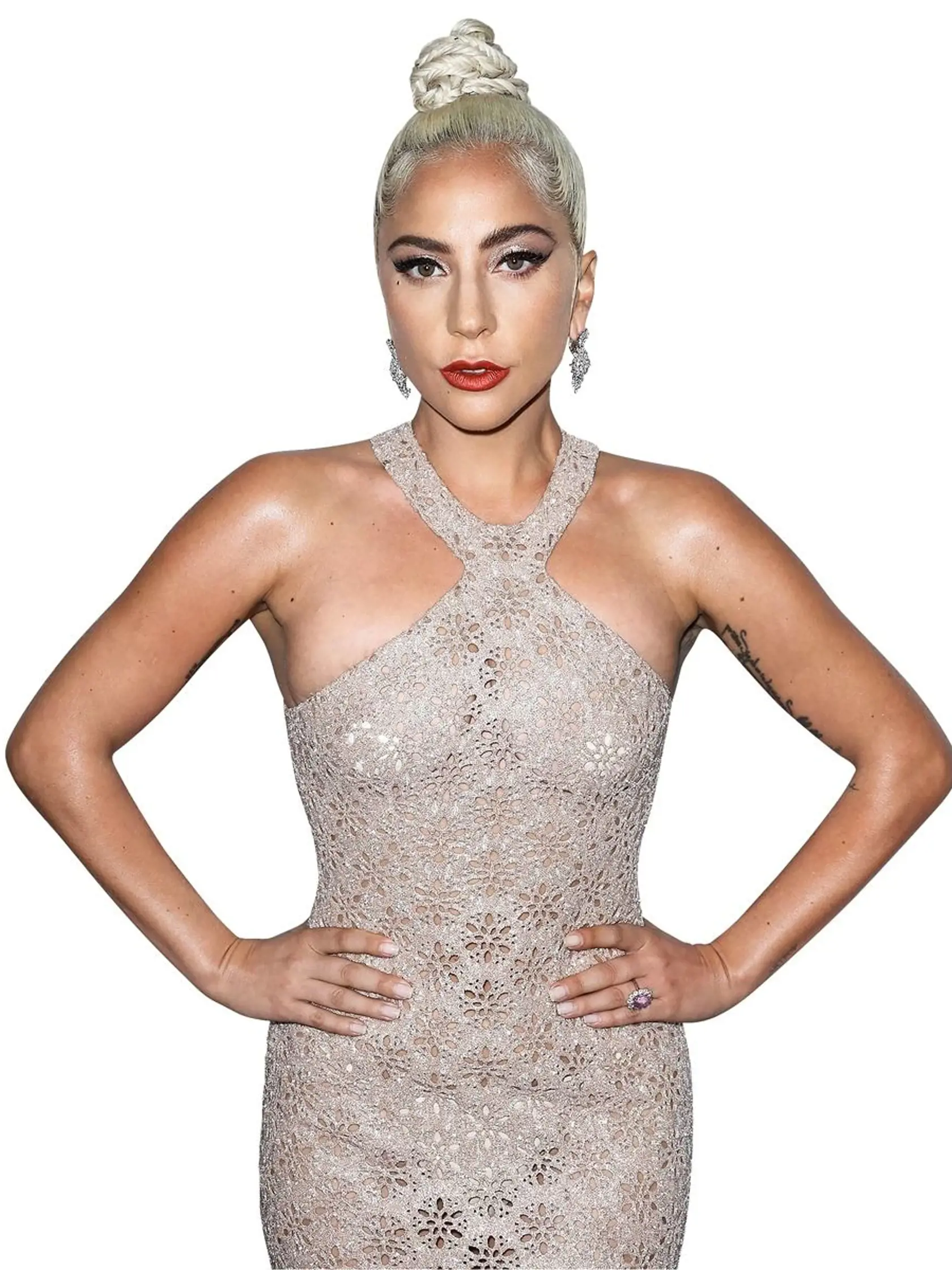 Lady Gaga (32) "Obávam sa, že mi ukradnú moju kreativitu prostredníctvom mojej vagíny."