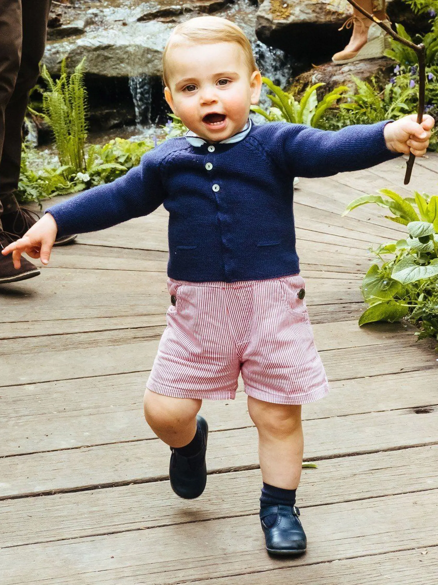 Princ Louis
