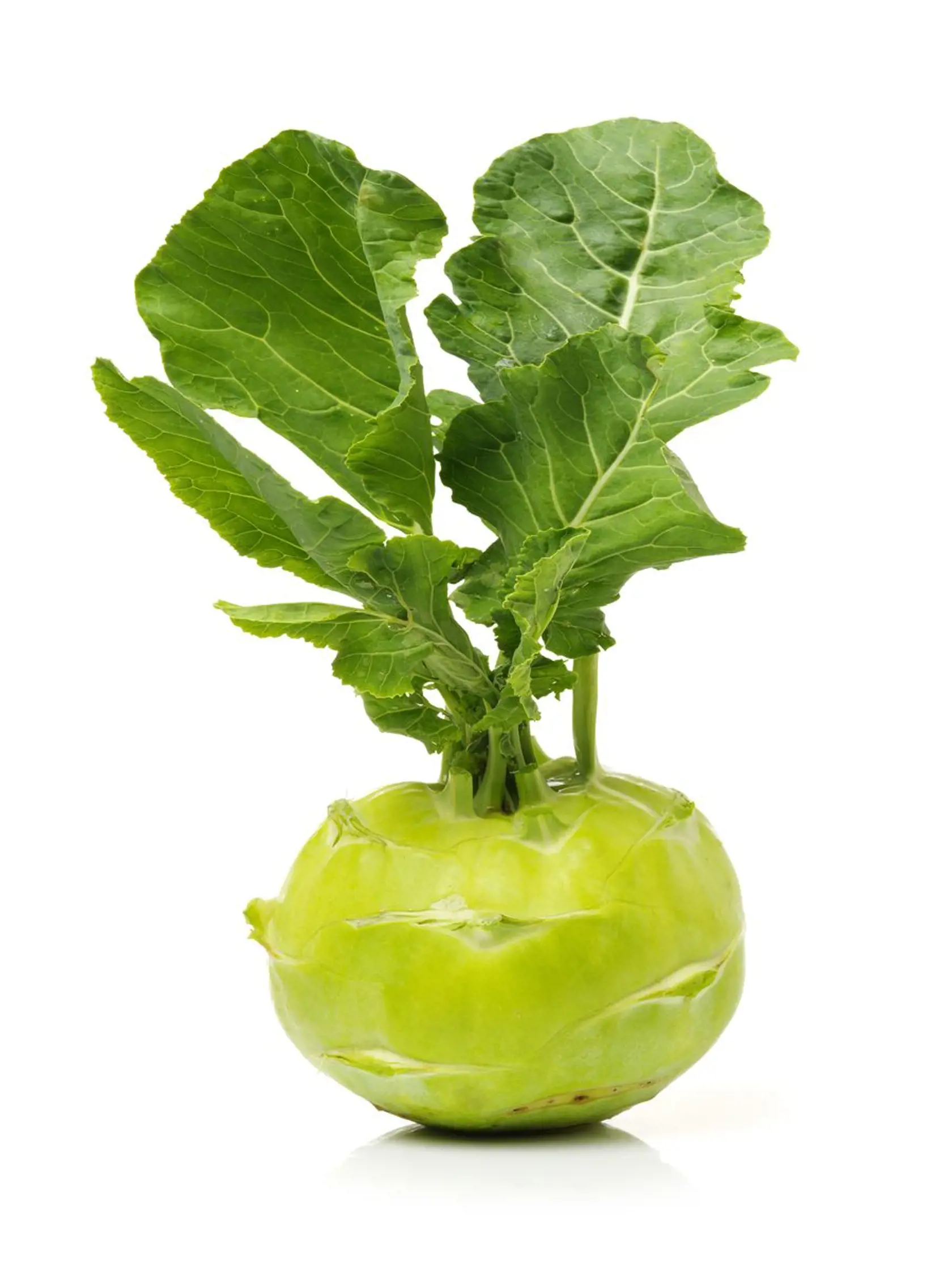 Kaleráb zlepšuje prenos kyslíka v čreve.