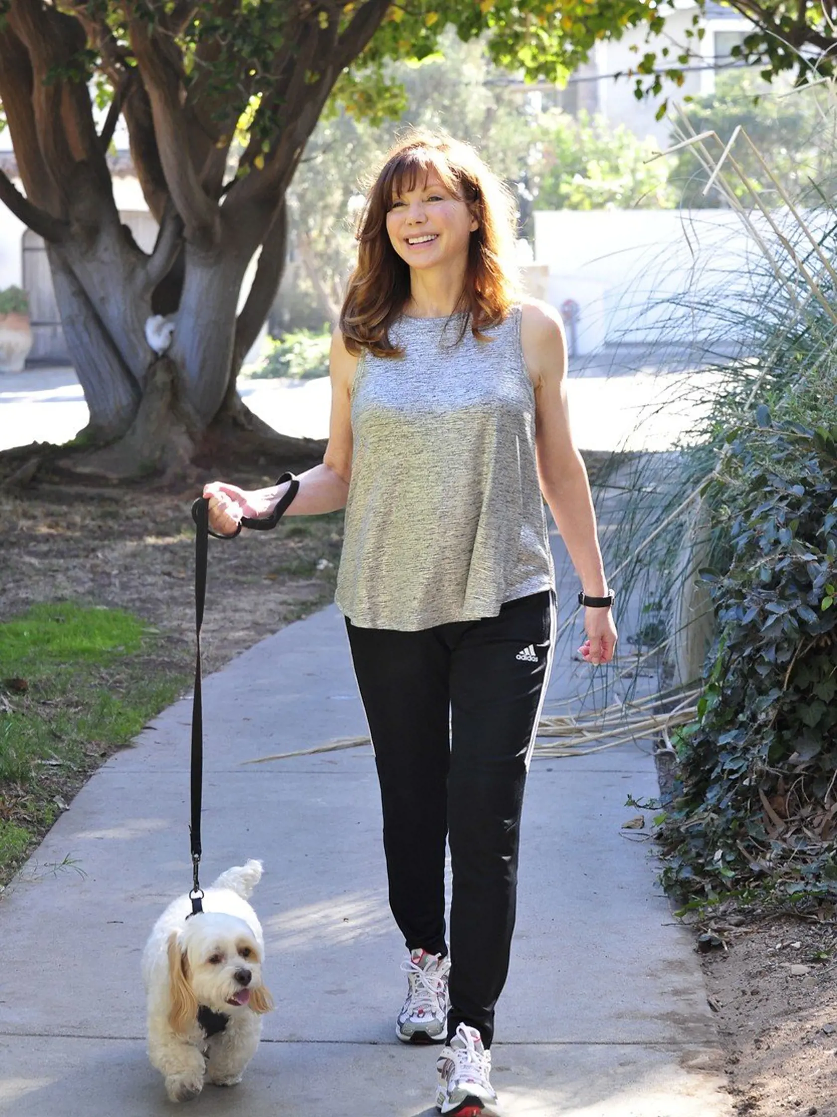 Exclusive  - Malibu, CA - 12/04/2017 -  Victoria Principal walking her dog in Malibu.  When we asked her his name, she said he was her rescue dog `Milo.`  -PICTURED: Victoria Principal with dog Milo -, Image: 357021106, License: Rights-managed, Restrictions: Exclusive, Model Release: no, Credit line: Profimedia, INSTAR Images