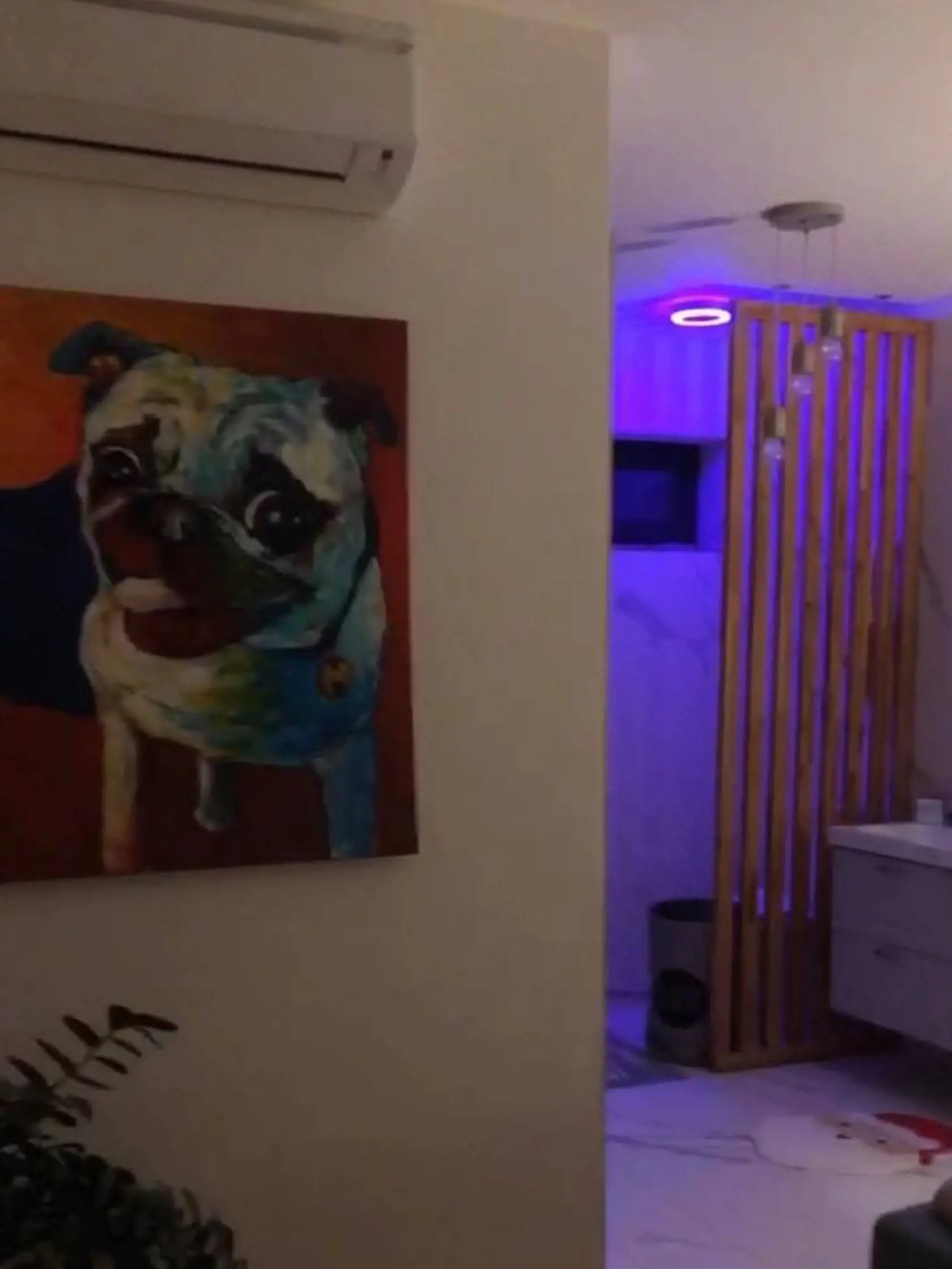 V spálni mu visí aj obraz farebného psíka a nechýba ani klíma.