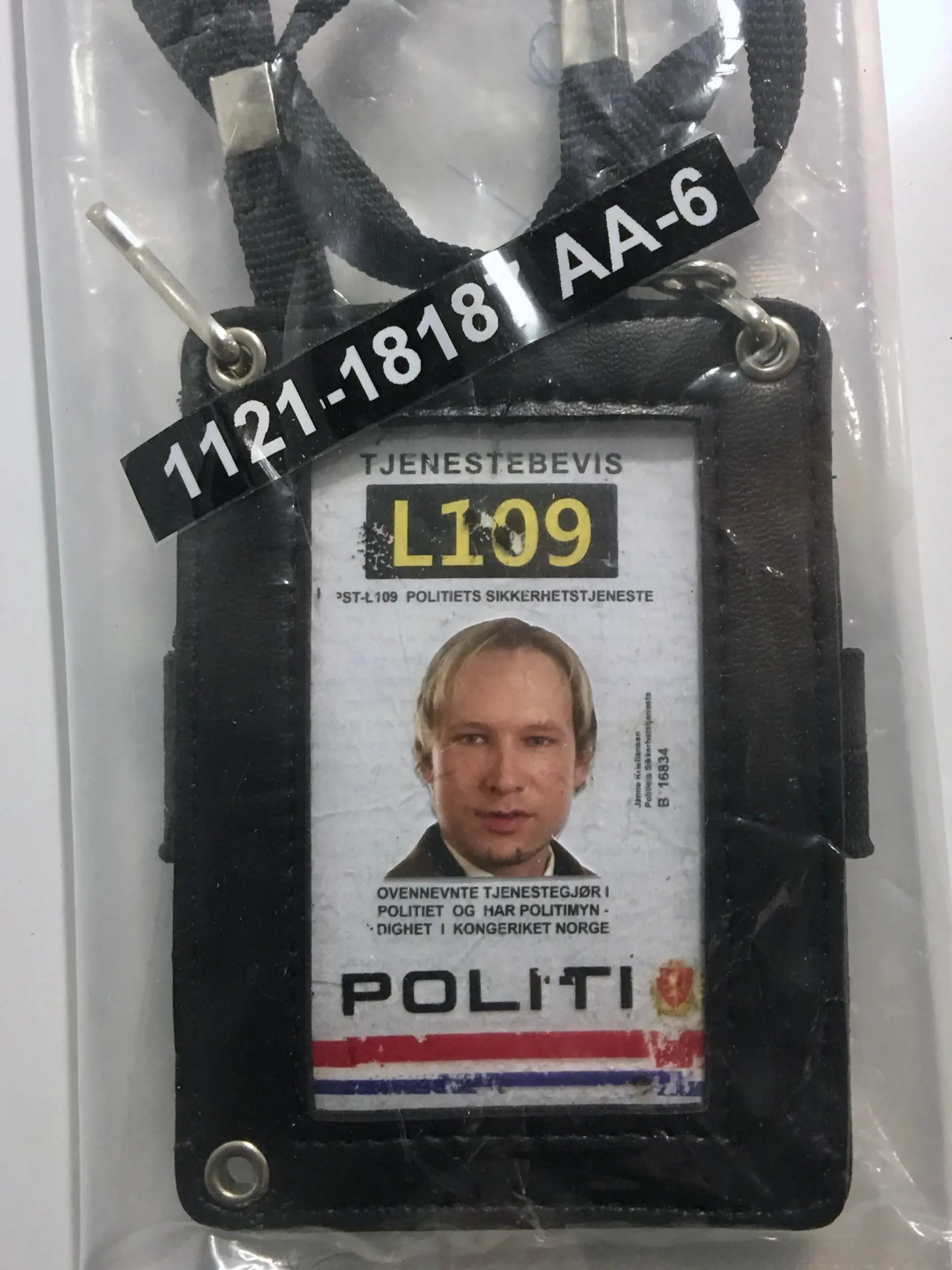 Na Utøyu Breivik prišiel v prezlečení za policajta, ktorý vyšetroval výbuch v centre Osla, ktorý sám spôsobil. Keď zhromaždil ľudí na jedno mieste, začal do nich strieľať.