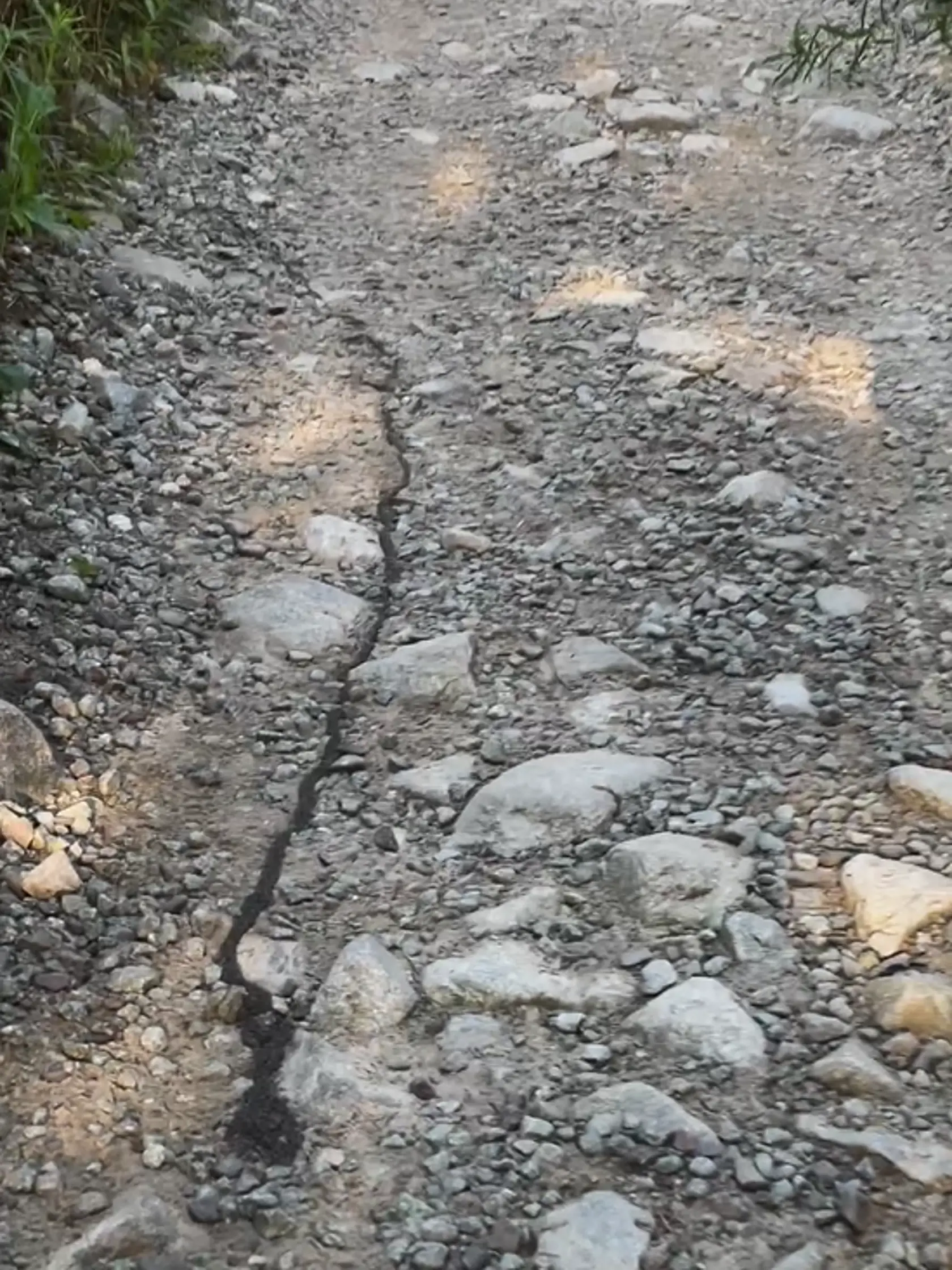 Čo podnecuje larvy, aby sa zhromaždili v takých veľkých skupinách a začali migrovať, je pre vedcov stále záhadou.