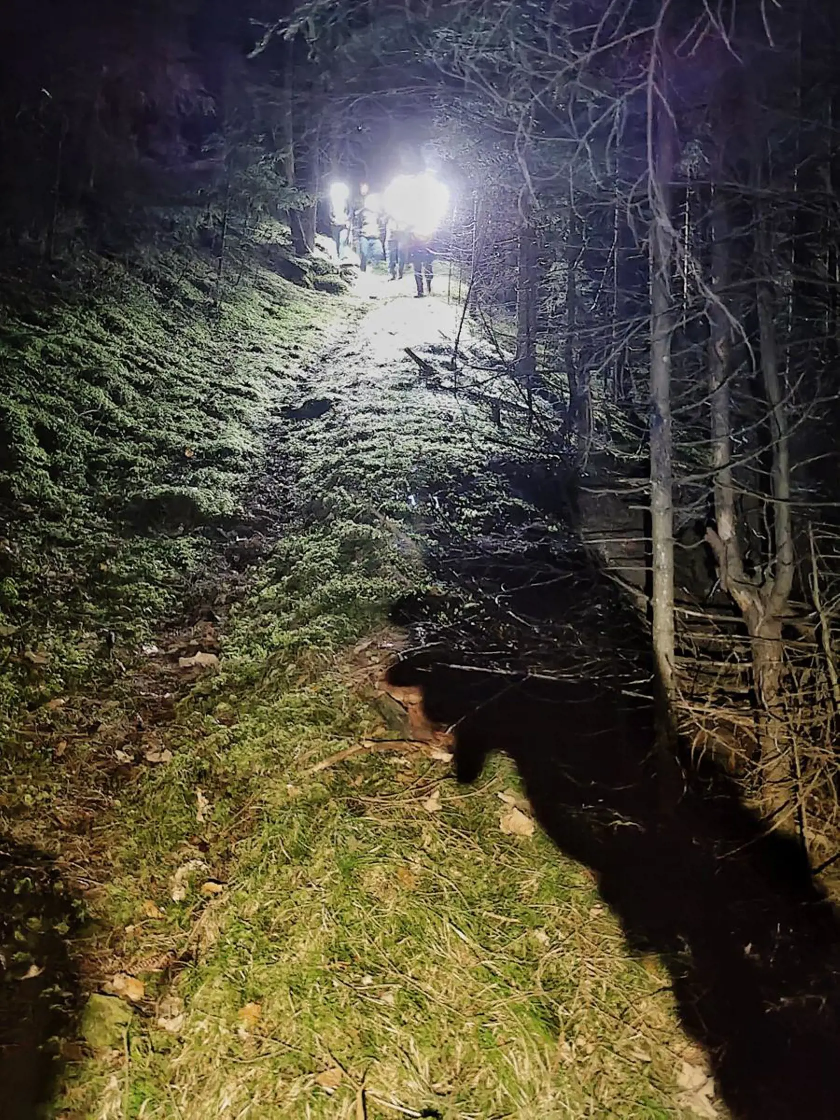 Medveď mal zabiť 31-ročnú Bielorusku.