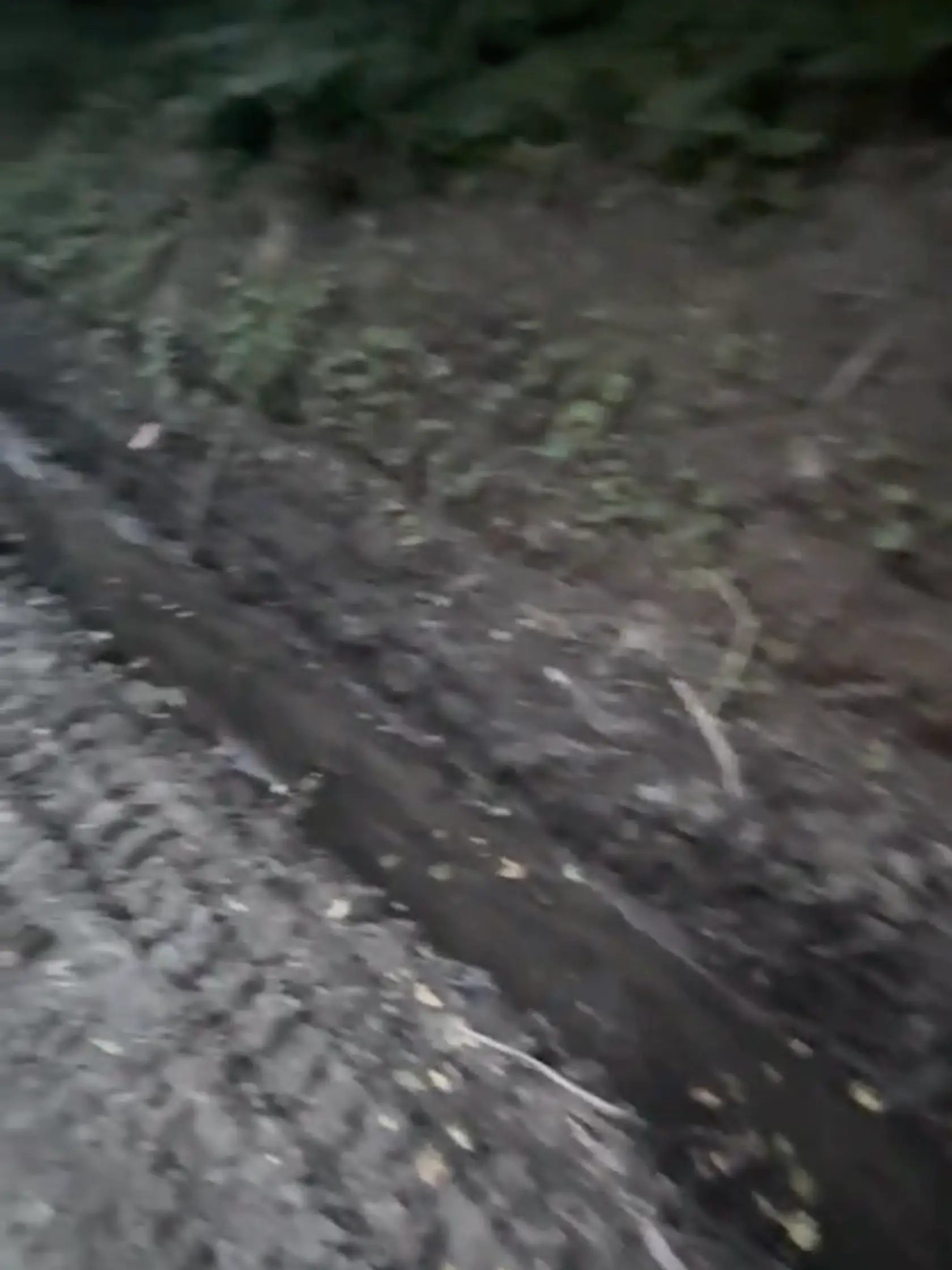 Okolie žumpy, dňa 6.7.2024.