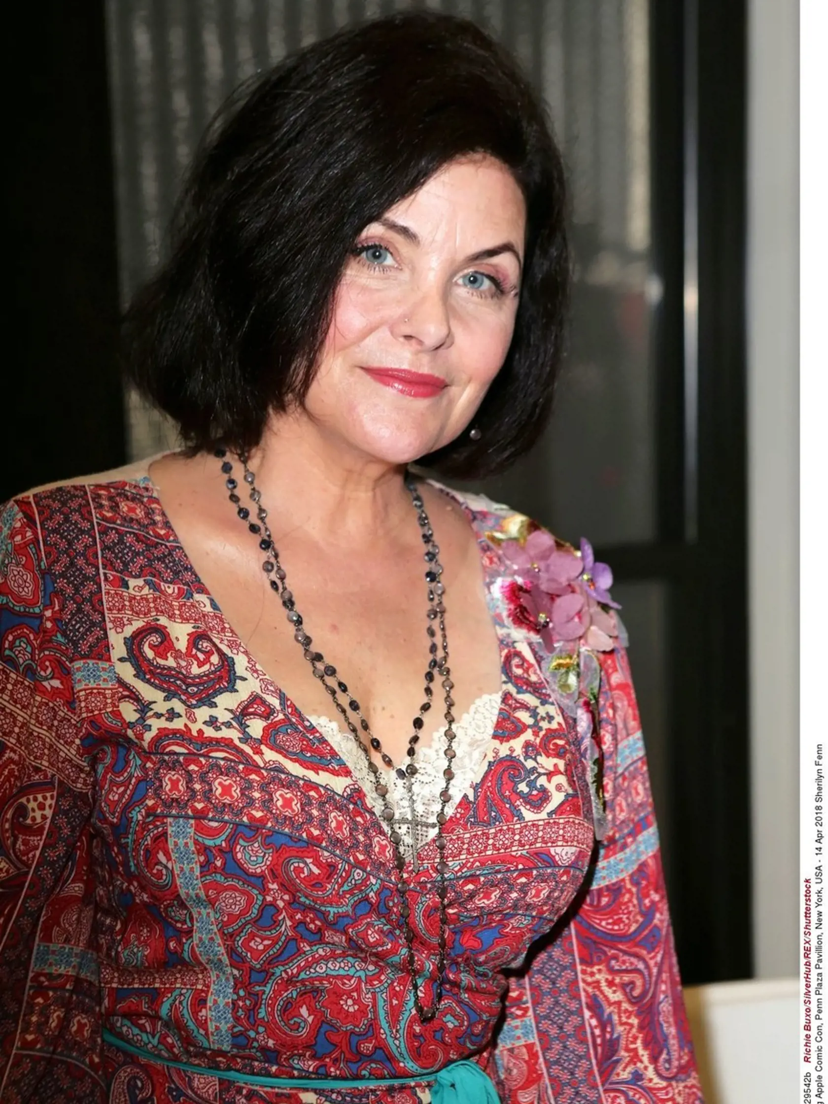 Sherilyn Fenn (55) pochádza z muzikantskej rodiny, jej teta je rocková speváčka Suzi Quatro, otec mal české korene. Twin Peaks jej otvoril dvere ku kariére, ale v rokoch 1996-1998 bola prakticky bez práce. V roku 1985 randila so spevákom Princom, potom žila tri roky s Johnnym Deppom. V rokoch 1994-1997 bola vydatá za gitaristu Toulousa Hollidaya, s ktorým má syna Mylesa. Od roku 2006 žije s Dylanom Stewartom, v roku 2007 sa im narodil syn.