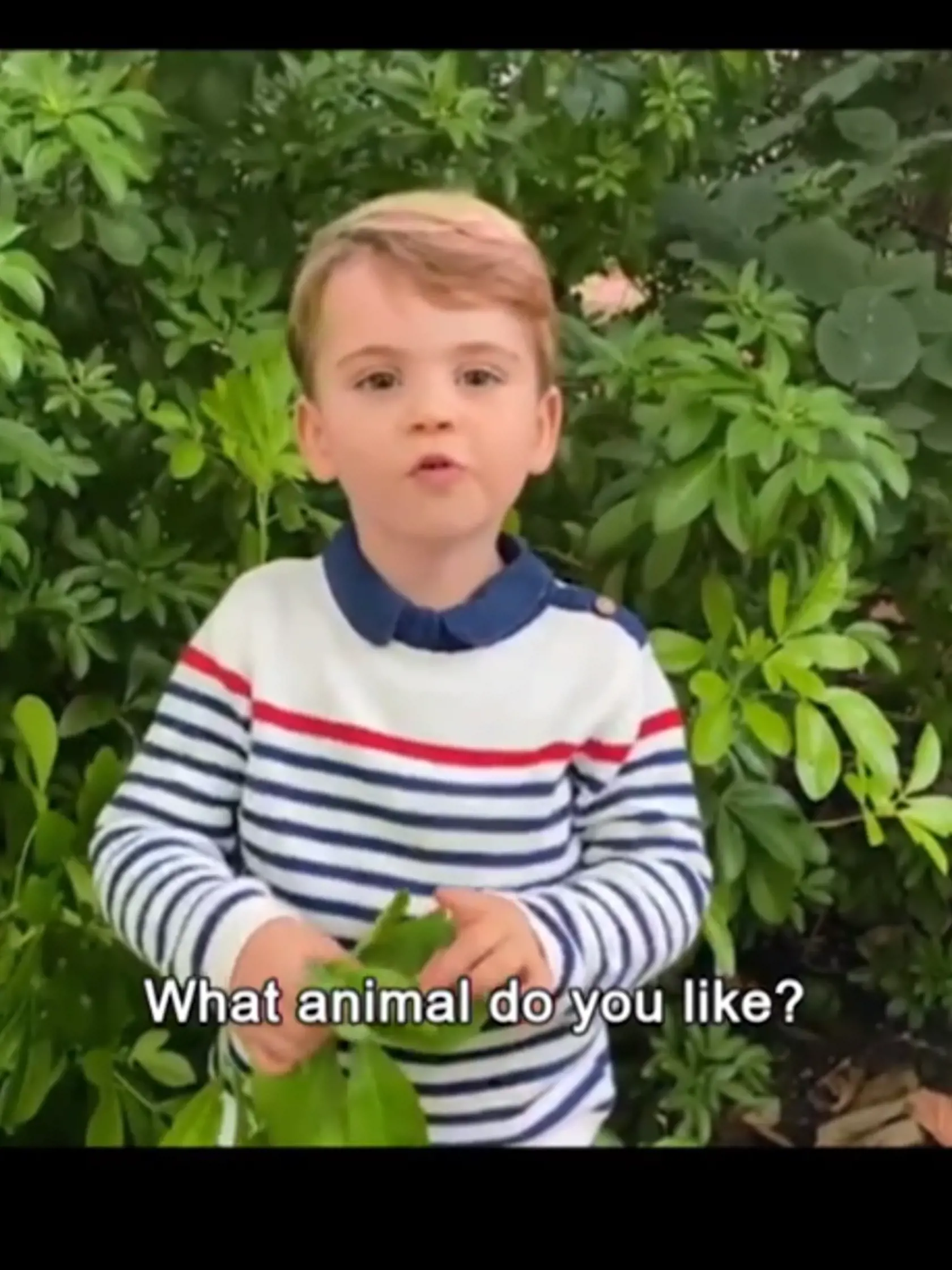 Princ Louis sa  Sira Davida Attenborougha opýtal, ktoré zviera má rád.