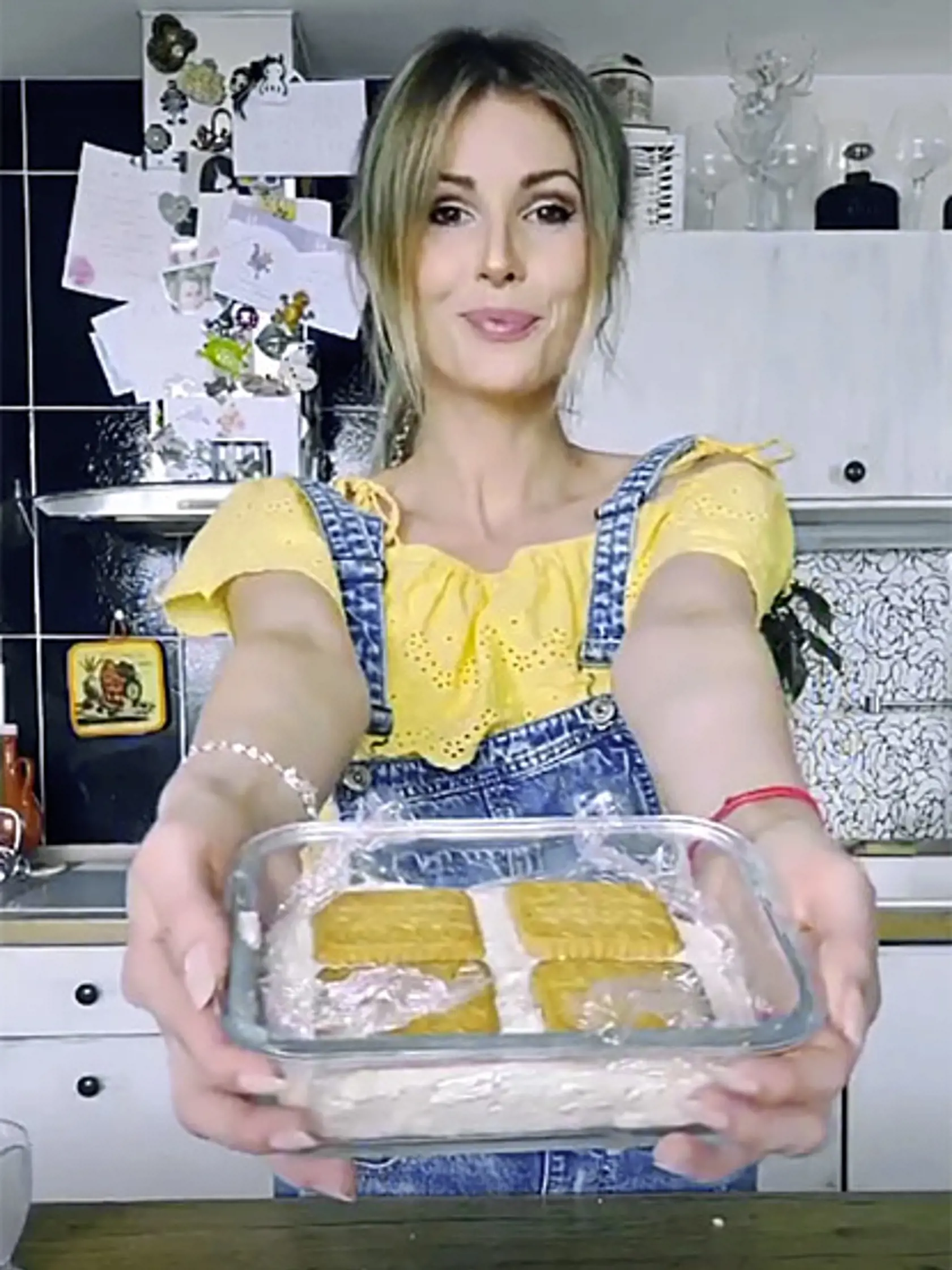 Domáca zmrzlina