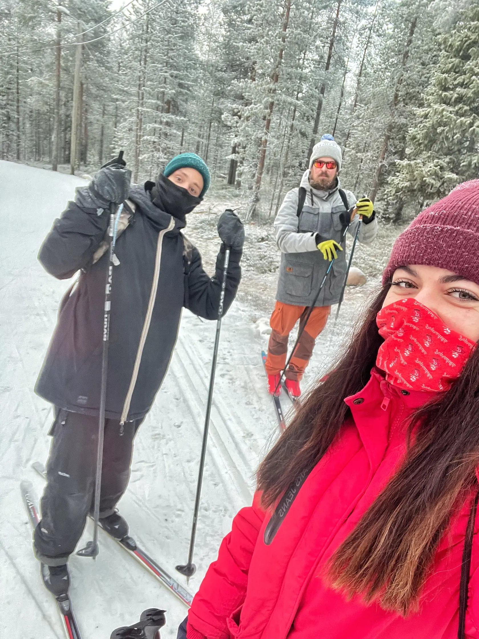 Kamilka si Laponsko zamilovala. Pritiahla ju tam najmä túžba vidieť polárnu žiaru.