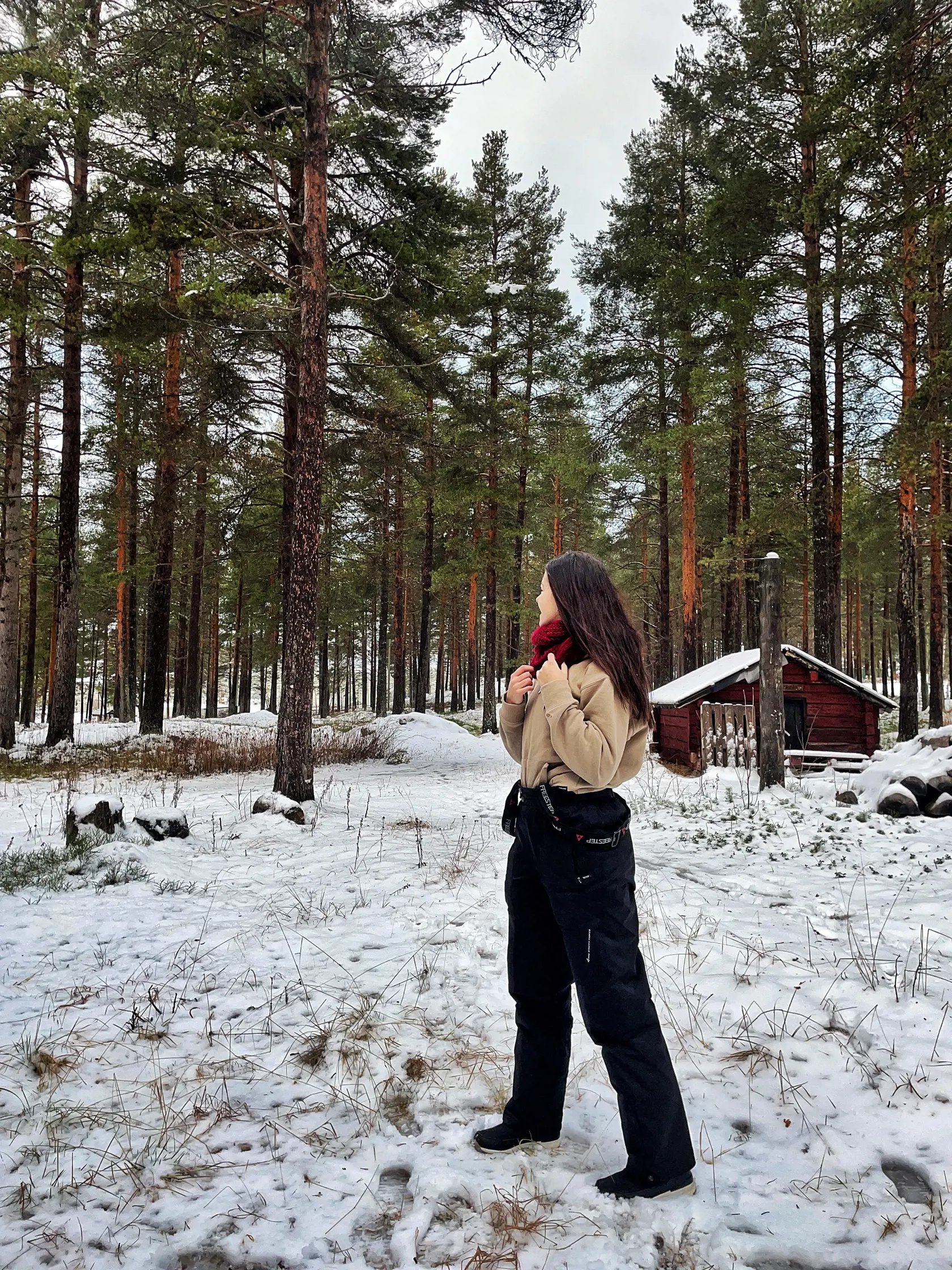 Kamilka si Laponsko zamilovala. Pritiahla ju tam najmä túžba vidieť polárnu žiaru.