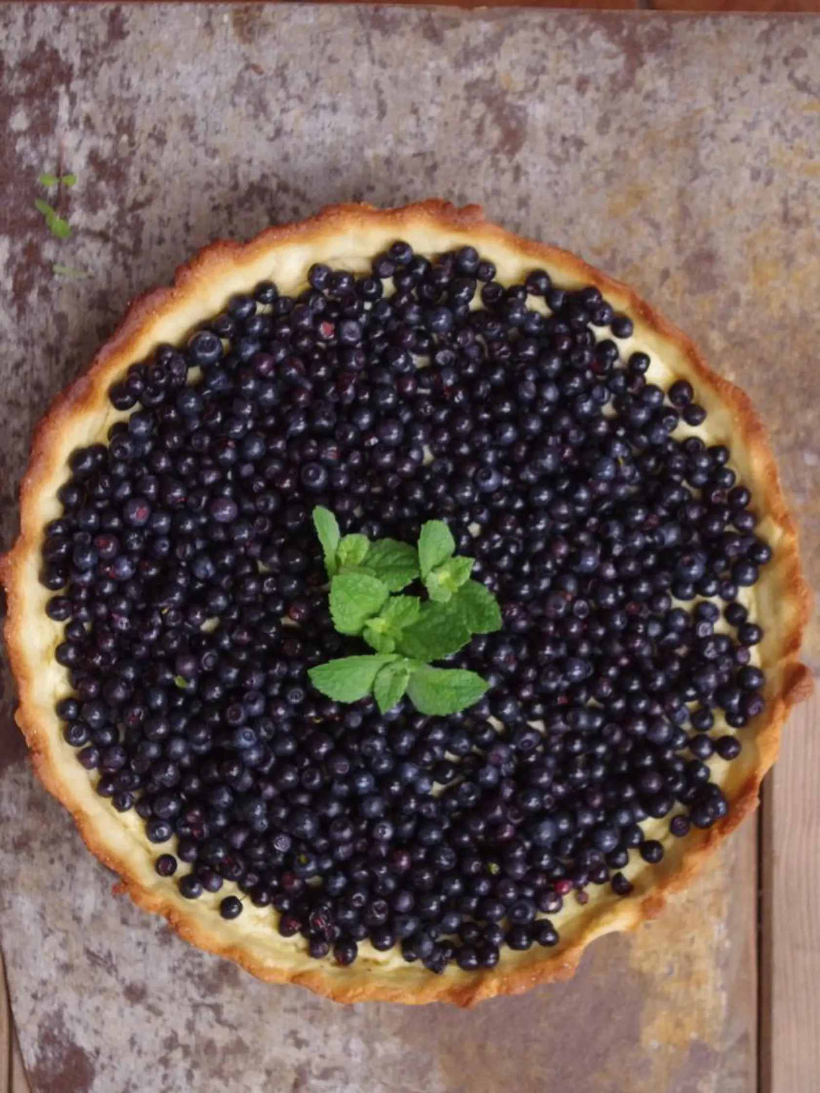 Super čučoriedkový tart