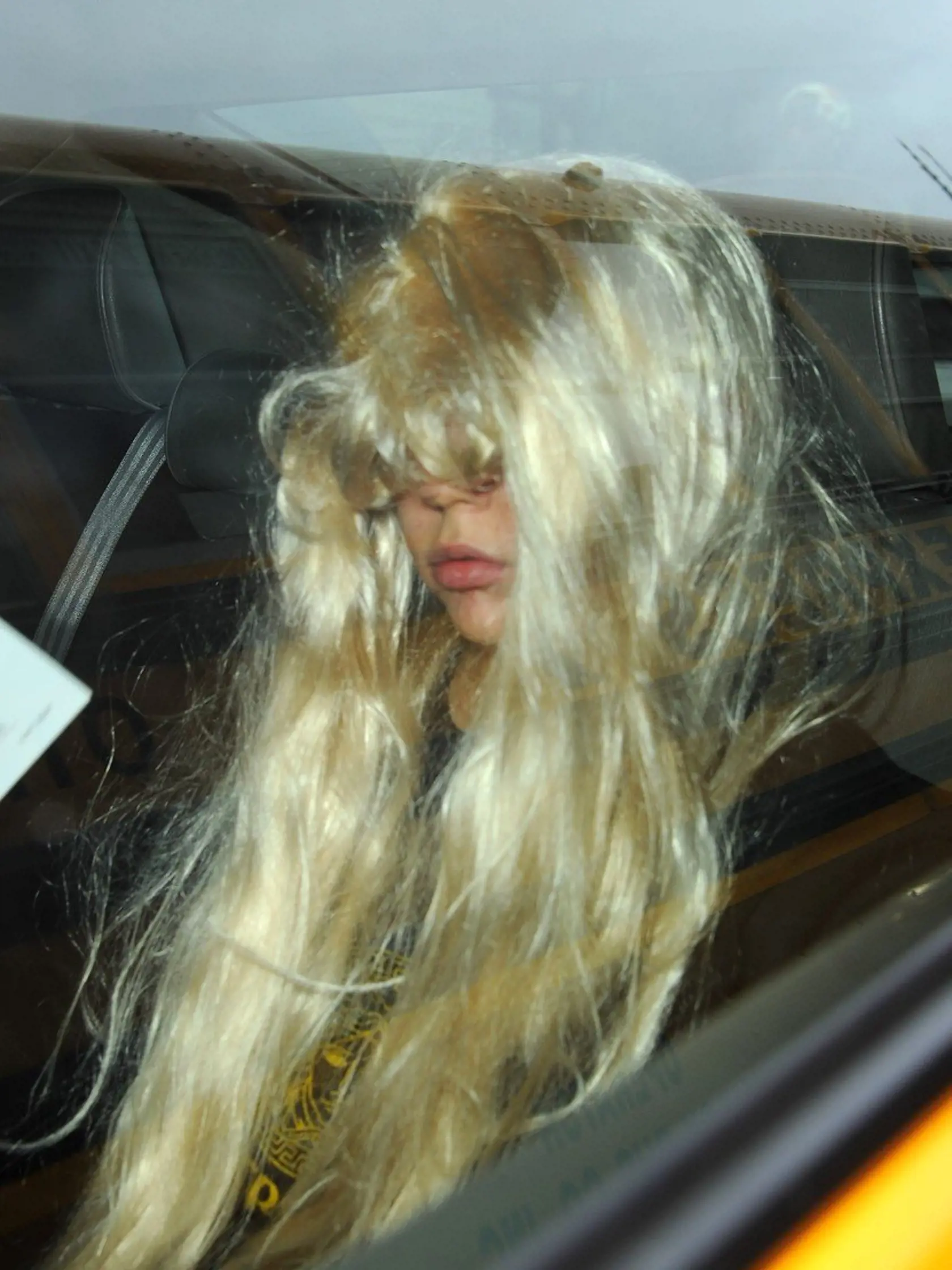 Amanda Bynes (32)
