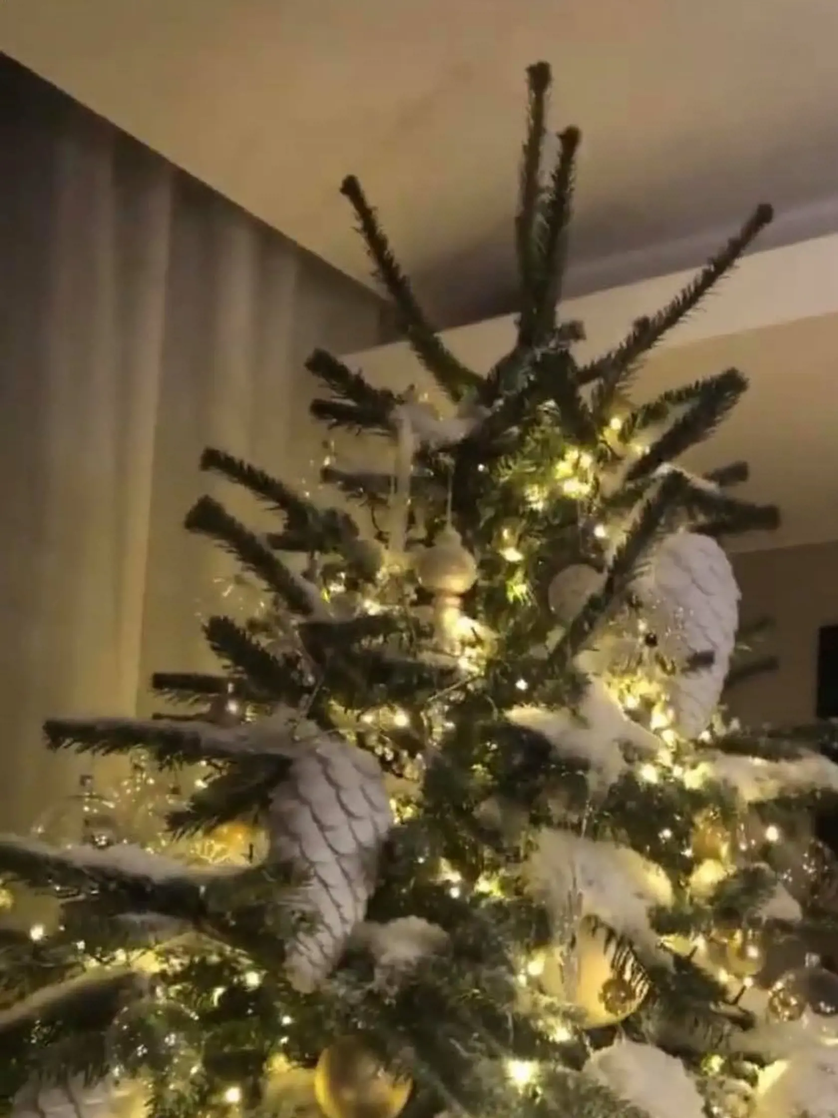Cibulková vsadila na decentnú zlatú v kombinácii s bielou. To vyzeralo naozaj dokonale.