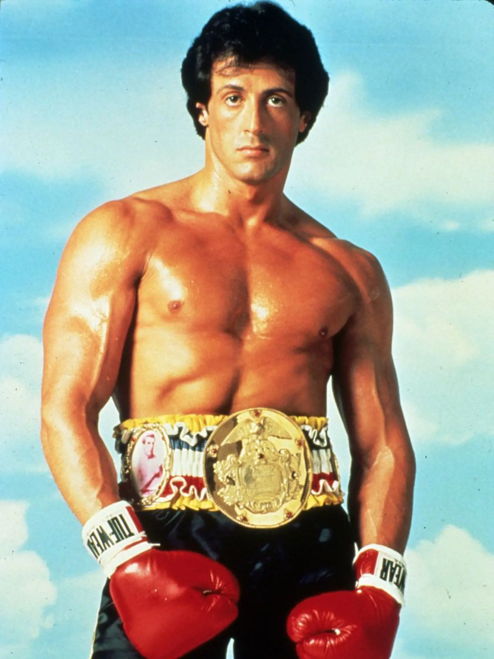 Stallone  si úlohu  Rockyho  zahral celkovo  v šiestich  filmoch.