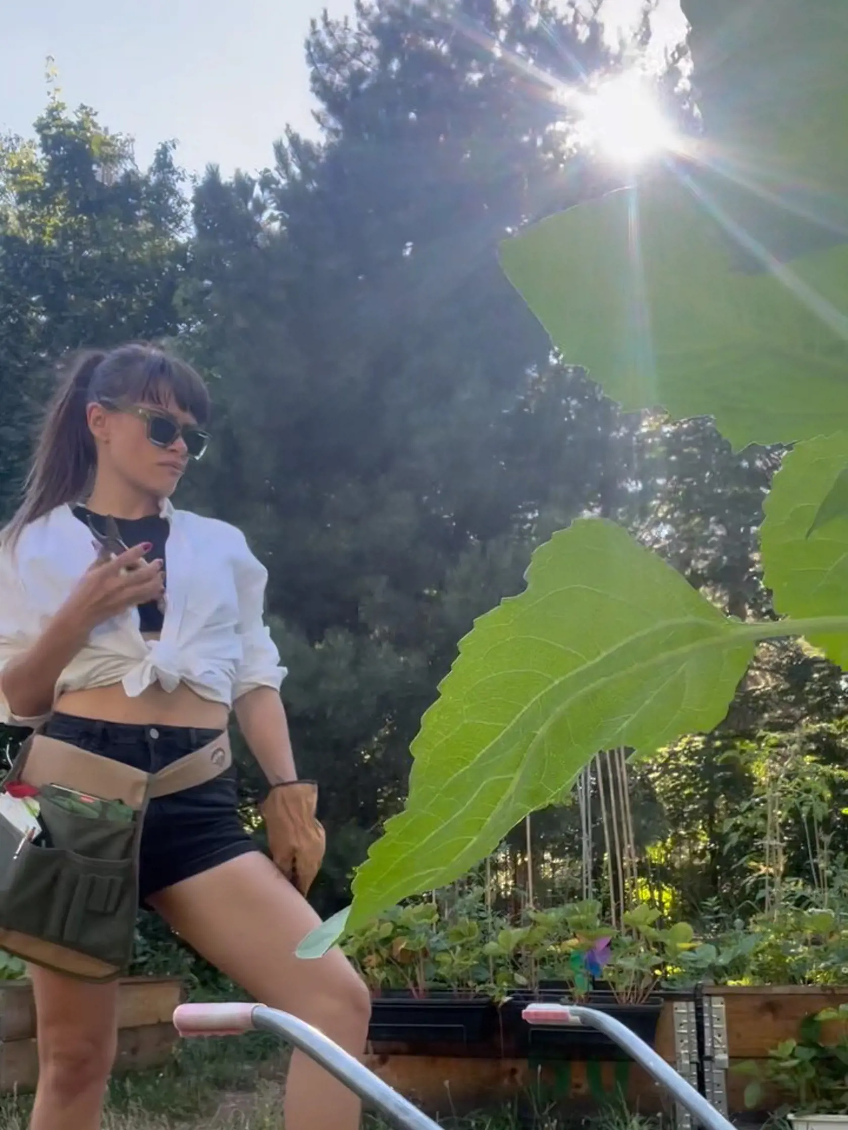 Kristína je pestovateľka a bylinkárka.