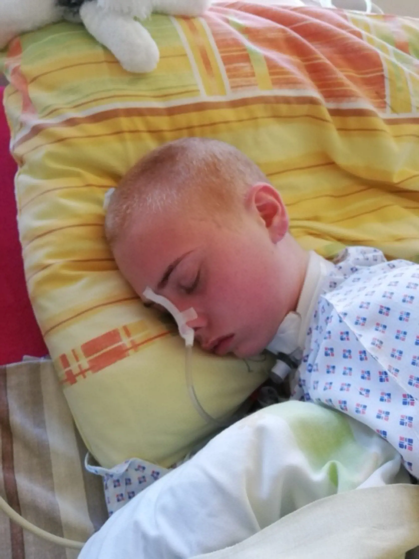 Avšak mladá dievčina svoj boj o život nevzdala. V momente, keď všetci strácali nádej, jemne pohla rukou a lekári sa rozhodli dať jej šancu. Po prebudení z kómy však prišla tvrdá realita. Lauretta ochrnula na pravú stranu tela a nemohla chodiť, rozprávať ani sama jesť.