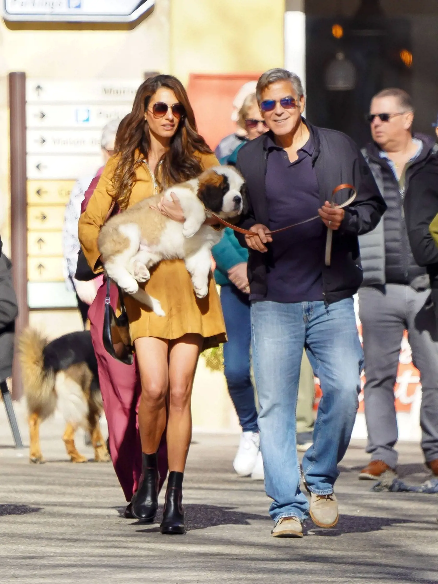 George a Amal Clooneyovci sa tajne presťahovali do nového nádherného domu na juhu Francúzska. A romantický George prekvapil svoju manželku na jej 46. narodeniny šteniatkom bernardína menom Nelso.