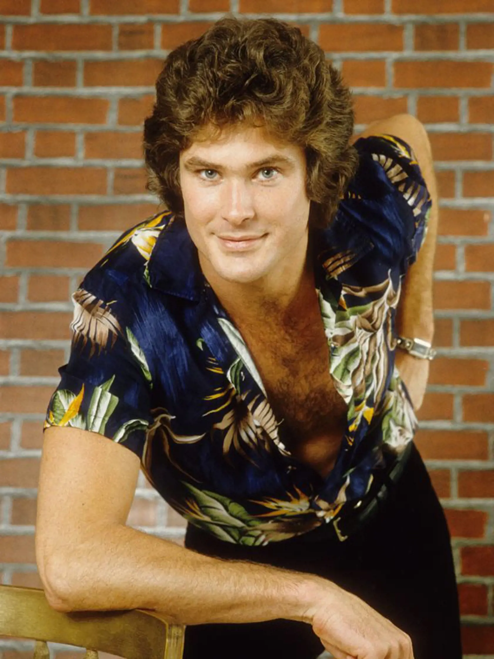 David Hasselhoff nebol len hercom. Vydal až 14 albumov, z ktorých väčšina bola ocenená zlatom aj platinou. 