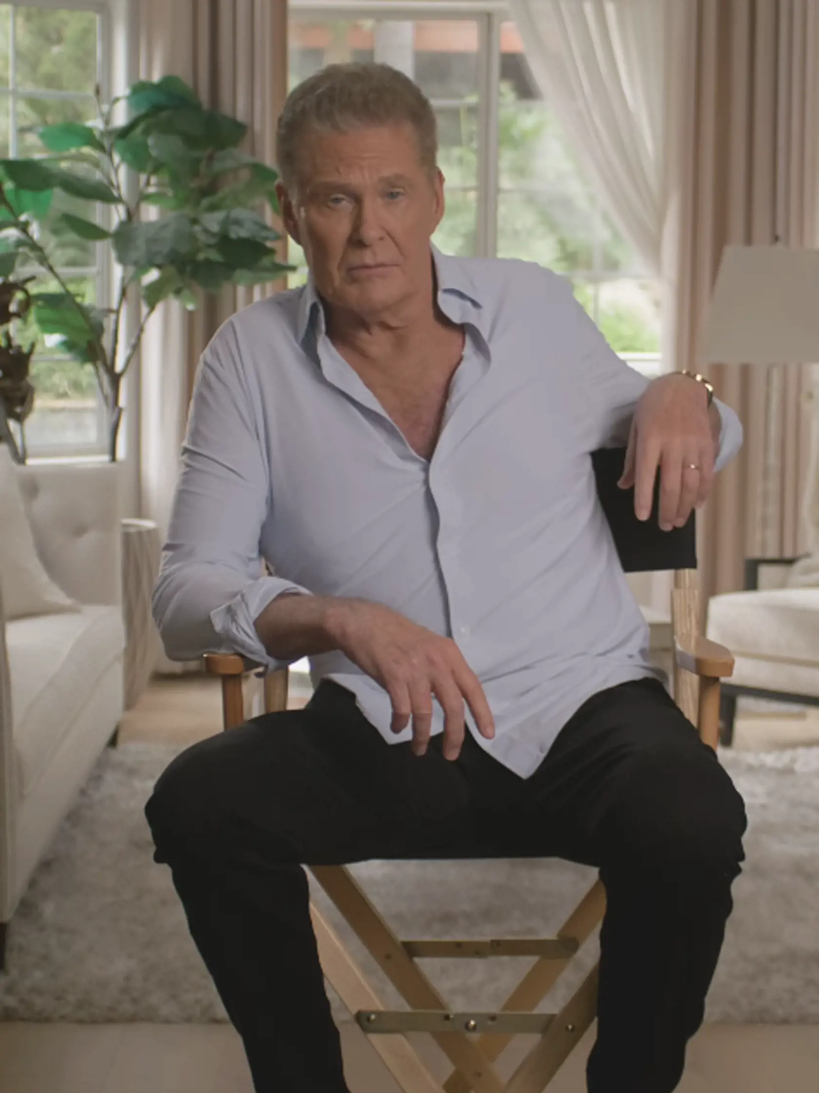 David Hasselhoff dnes.
