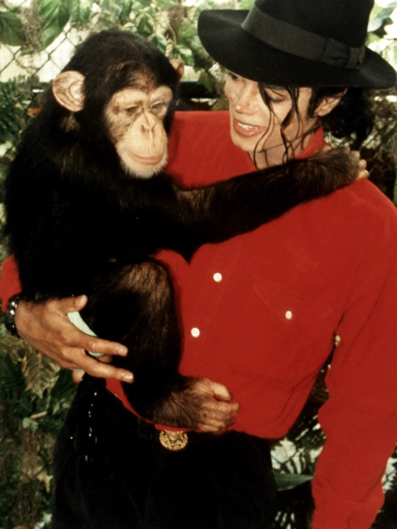 Bubblesa mal Michael Jackson ako domáceho miláčika 20 rokov.