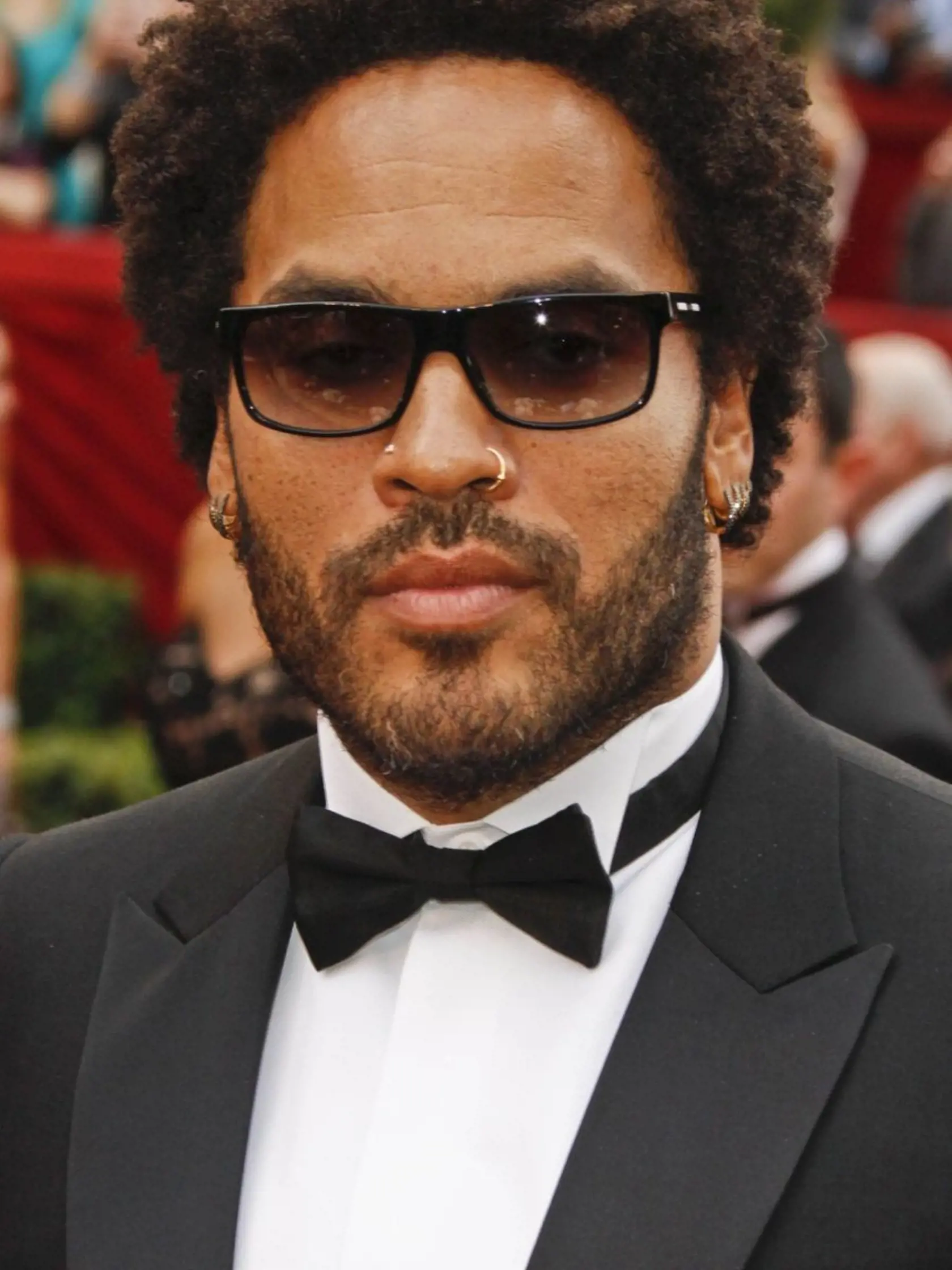 Vyznavačom pop-artu je aj Lenny Kravitz