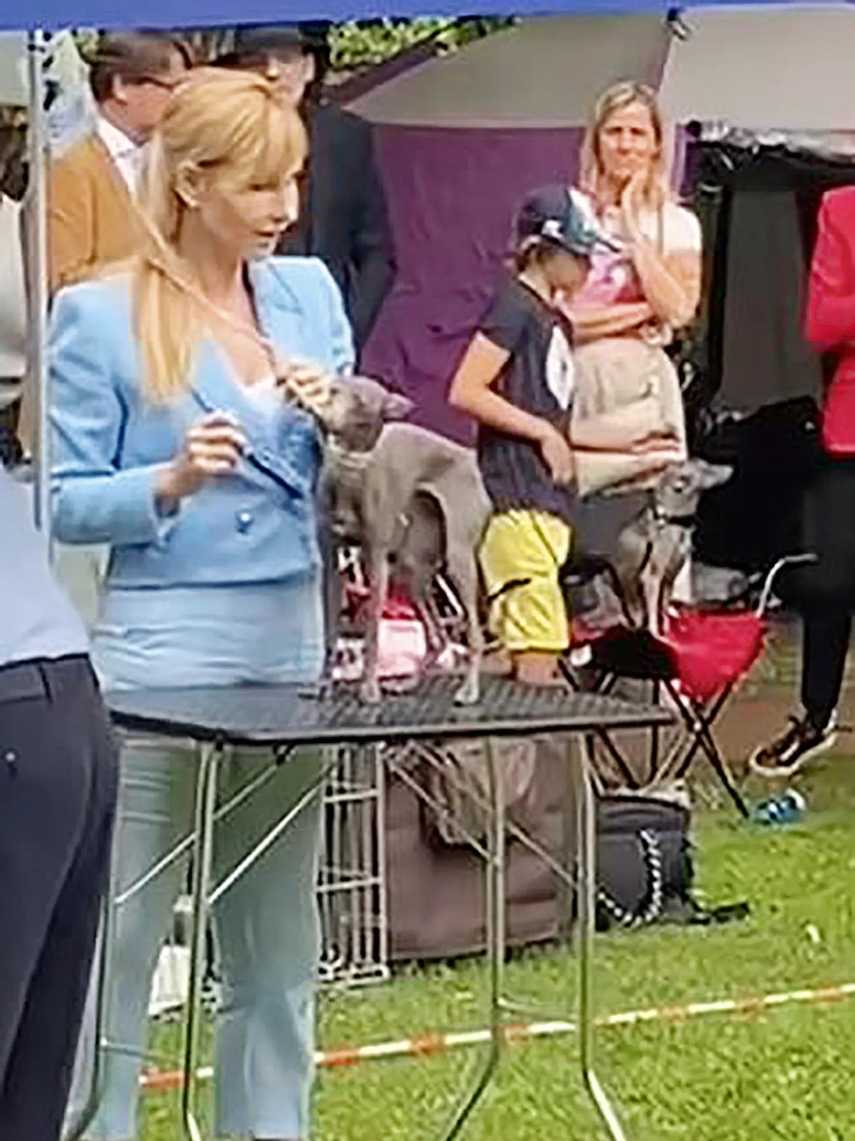 Člen rodiny. Rozborilovci si pred pol rokom kúpili talianskeho chrta, s ktorým boli už aj na súťaži.