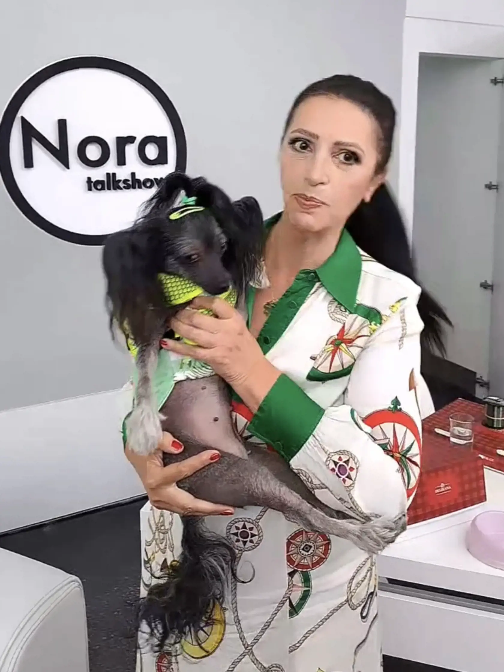 Nora Mojsejová si vymyslela vlastnú talkshow.