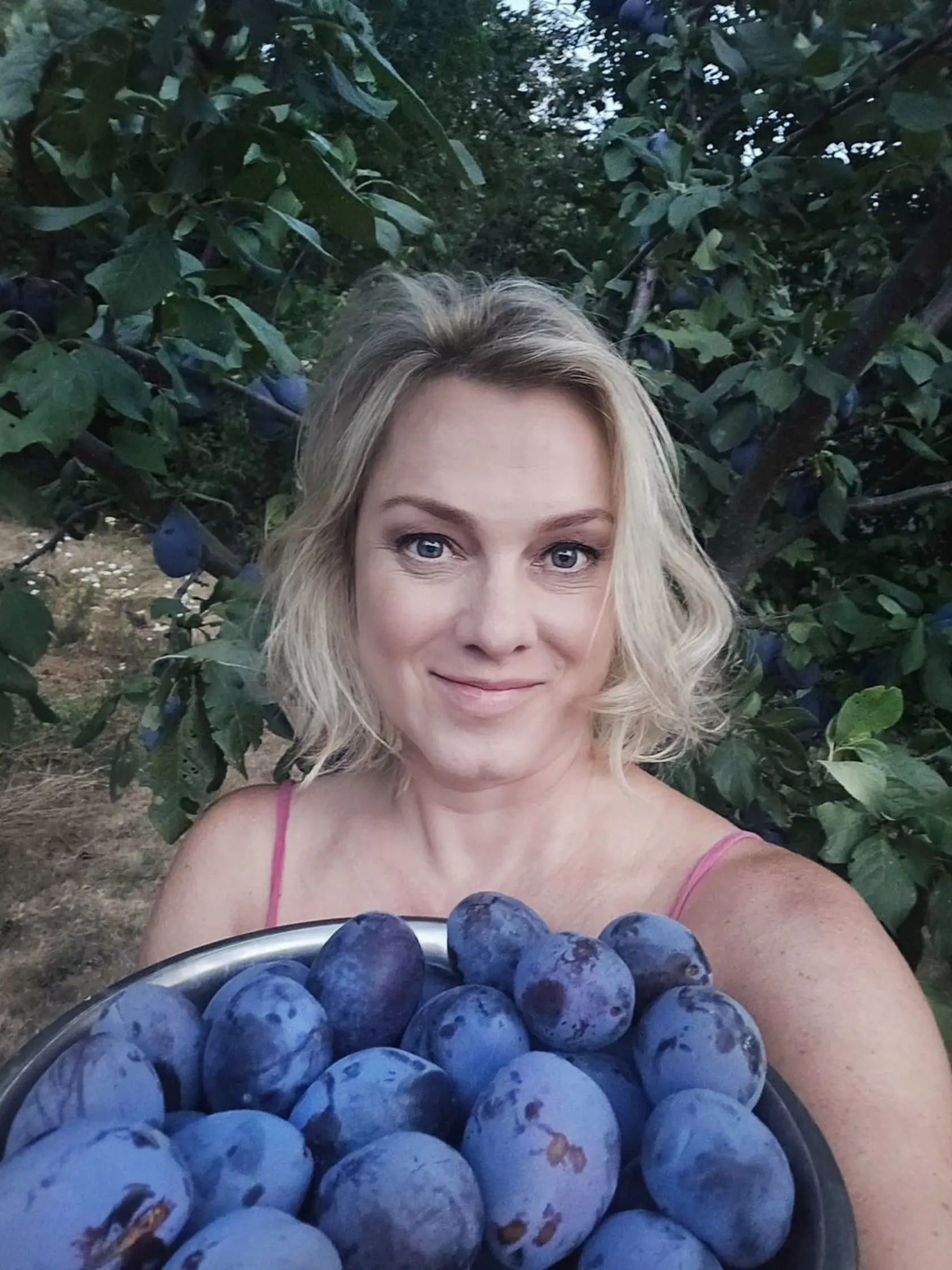 Monika Hilmerová je zo svojich sliviek nadšená. Takéto veľké kúsky urodil strom len o trošku vyšší od nej.