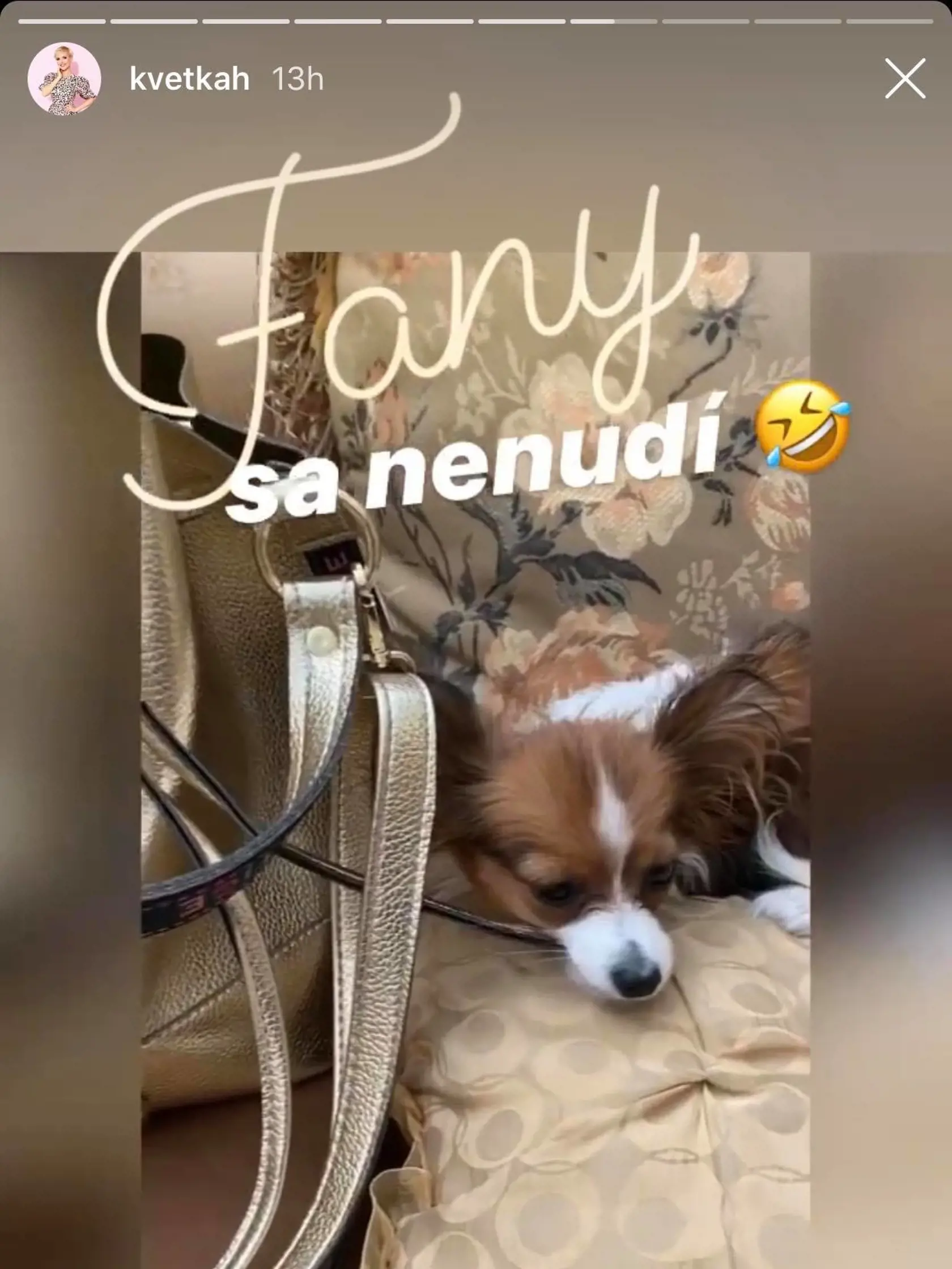 Samozrejme, zobrali so sebou aj ich milovaného psíka Fany.