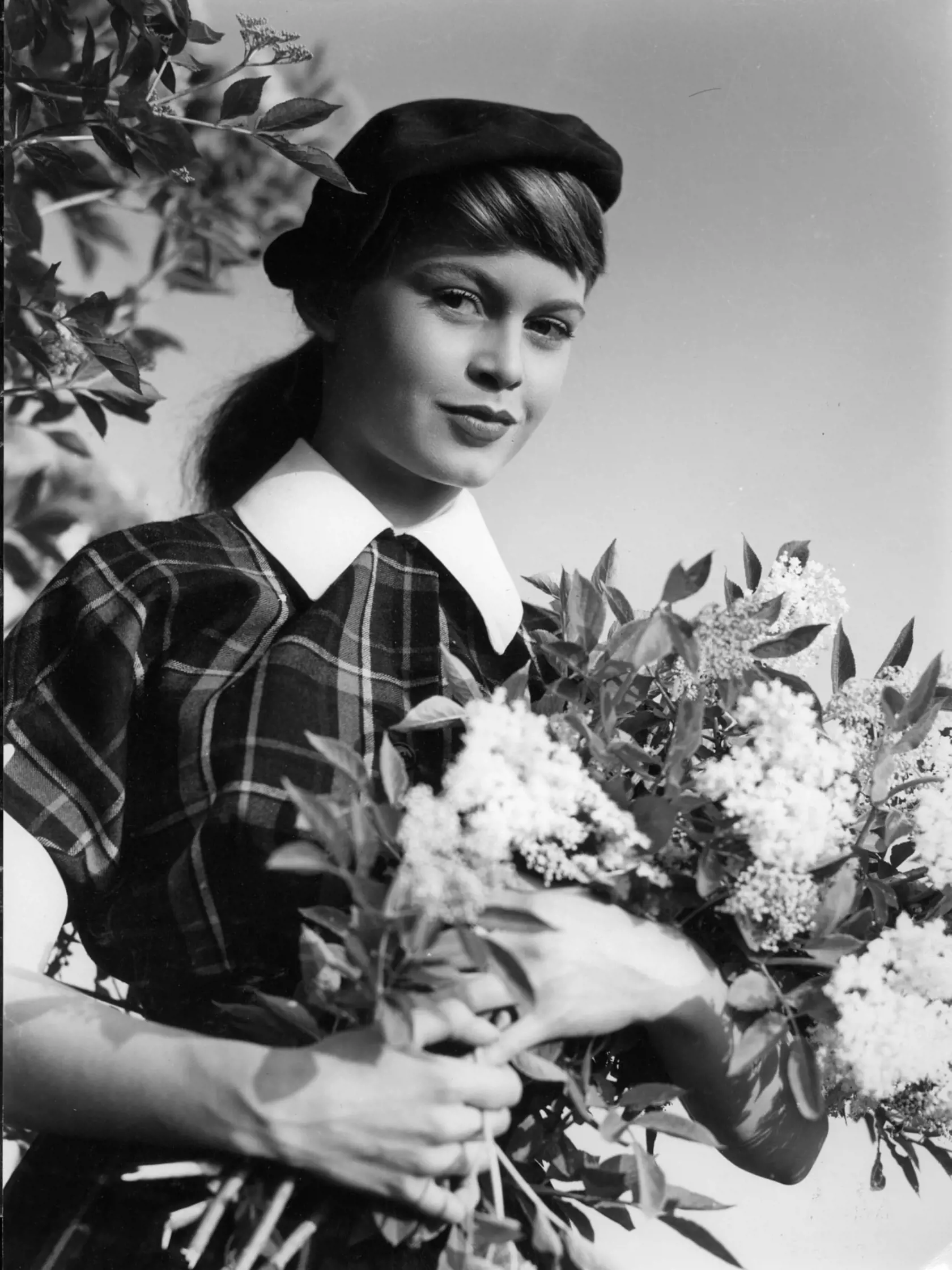 Brigitte Bardot