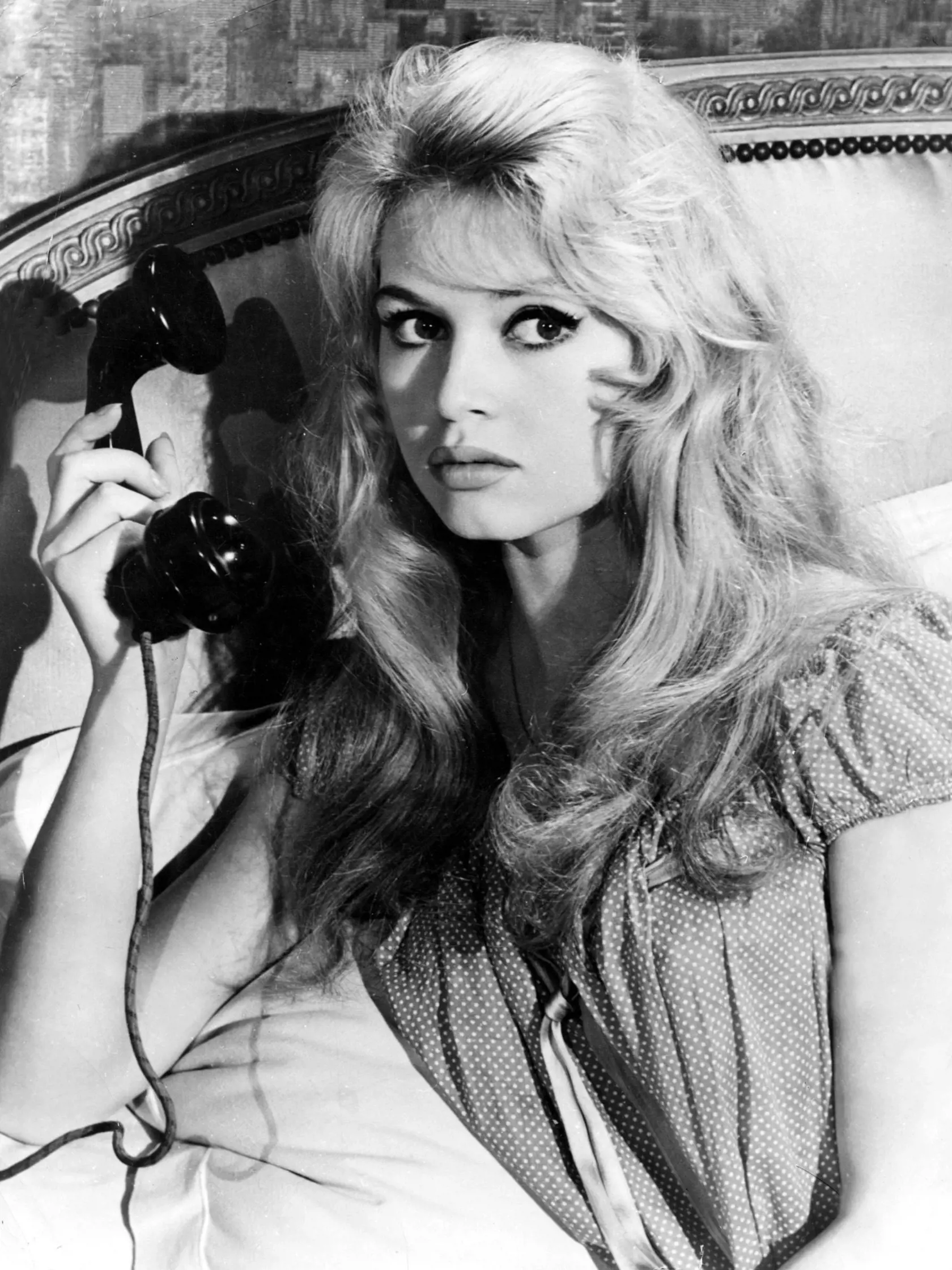 Brigitte Bardot