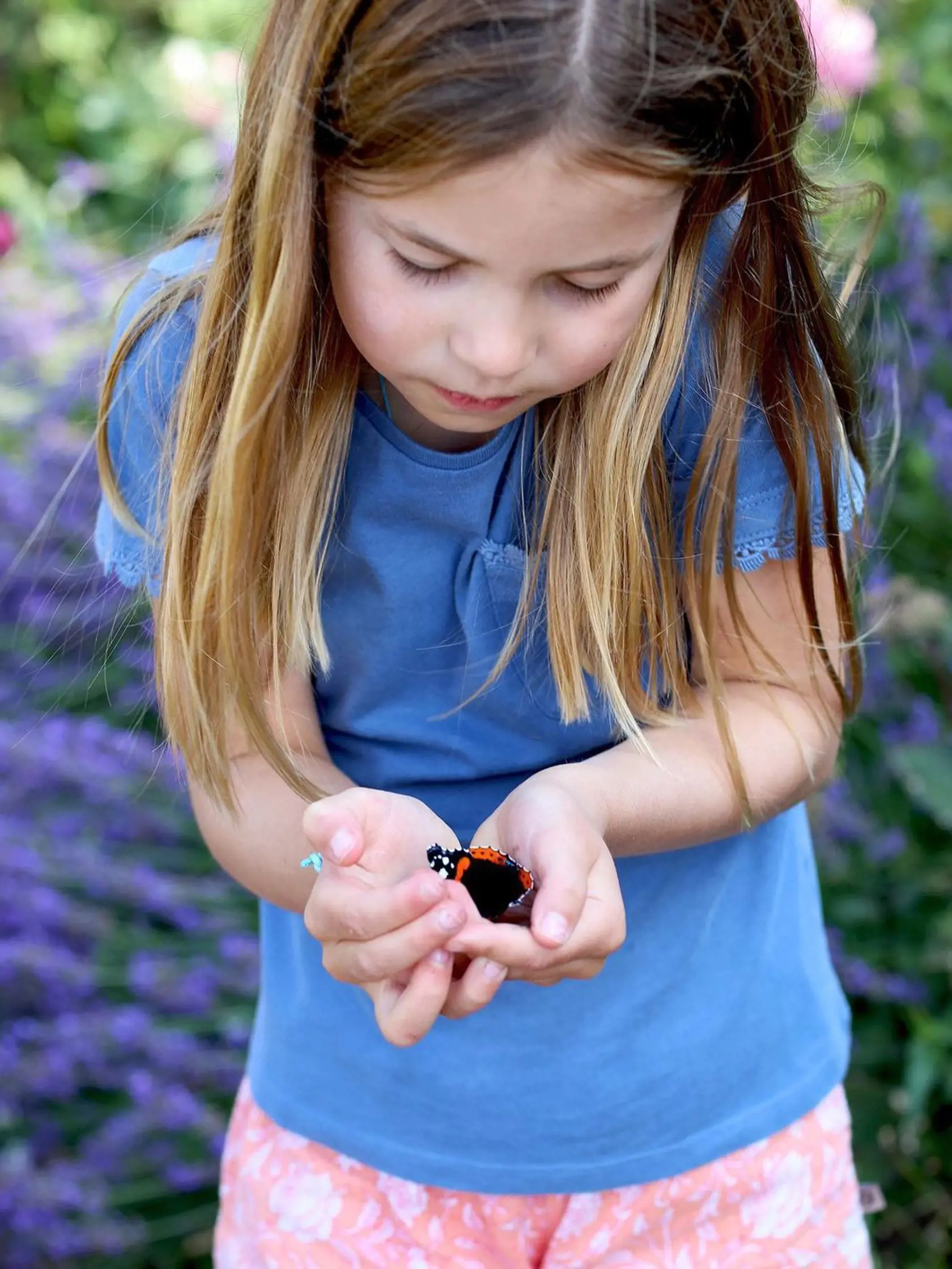 Malá princezná Charlotte (6) si znova raz získala svojím správaním srdcia miliónov ľudí, keď sa v sobotu na oficiálnom instagramovom účte jej rodičov objavila jej rozkošná fotografia s motýľom v dlaniach.