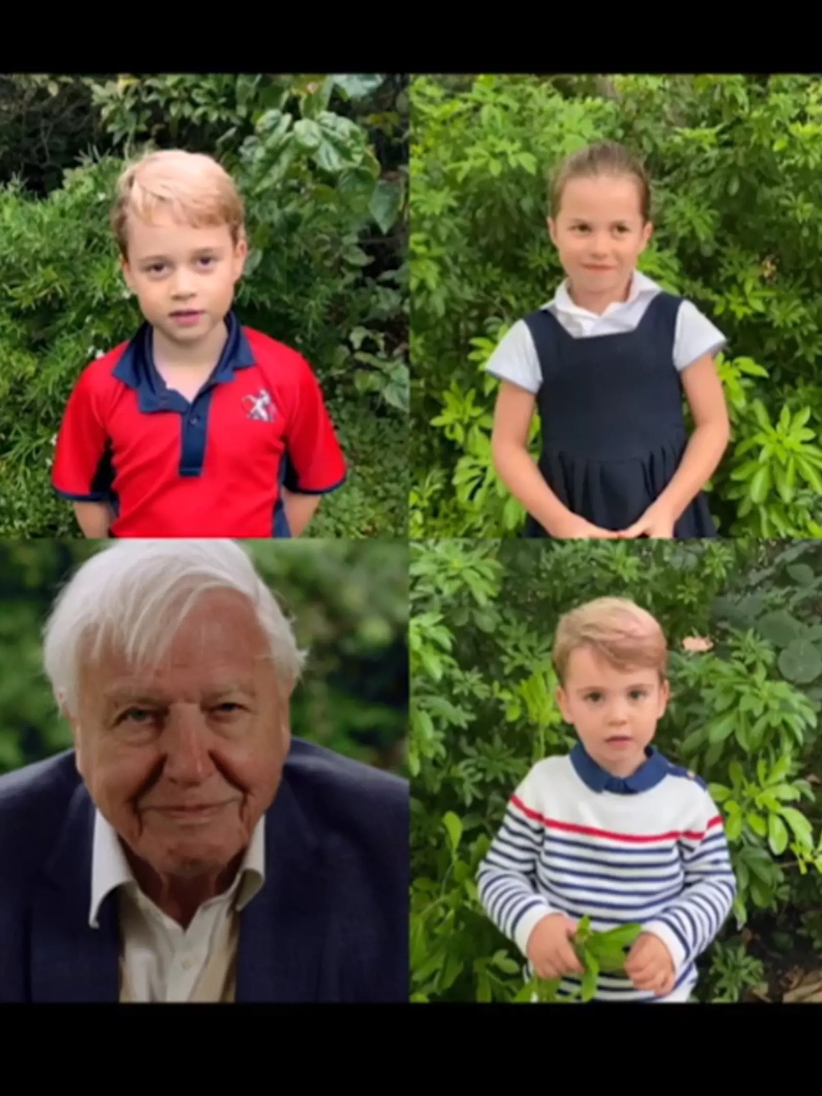 Princ George, princezná Charlotte, princ Louis a Sir David Attenborough