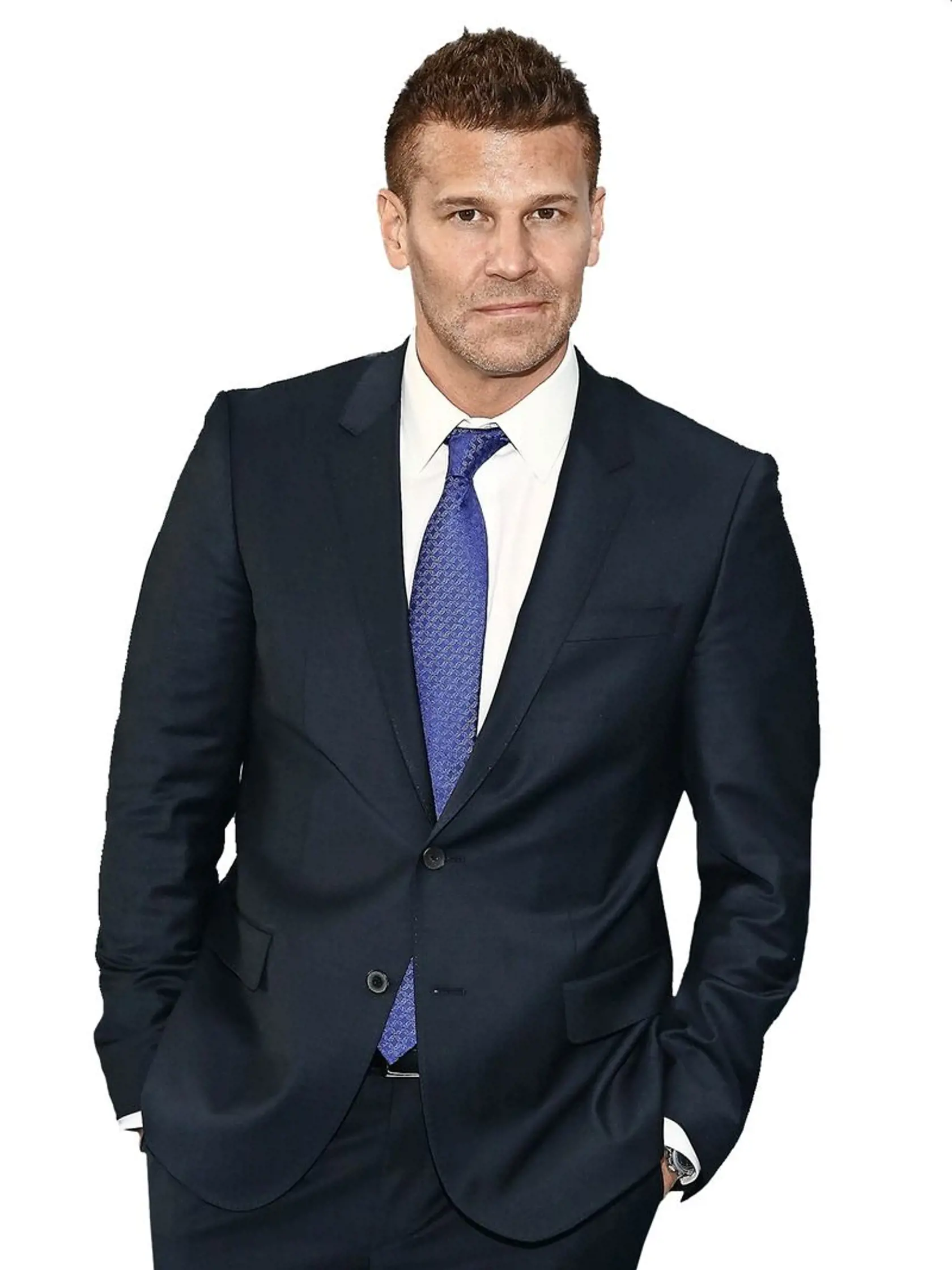 David Boreanaz (47)