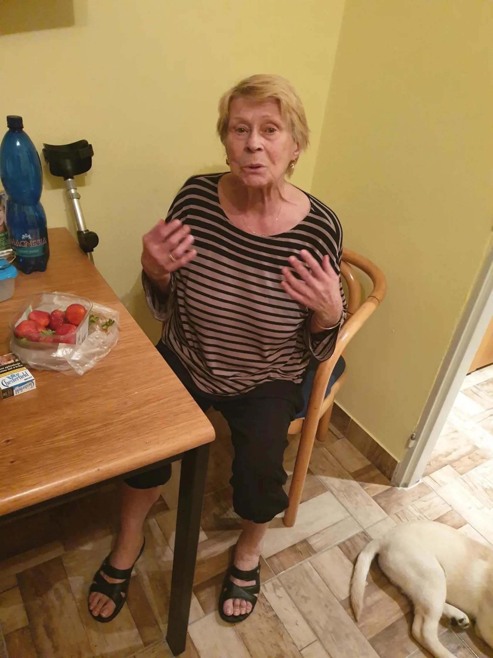 Jana Andresíková zomrela vo veku 79 rokov.